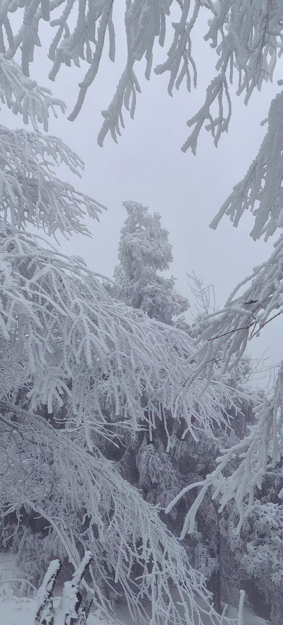 大熊山雪景图片