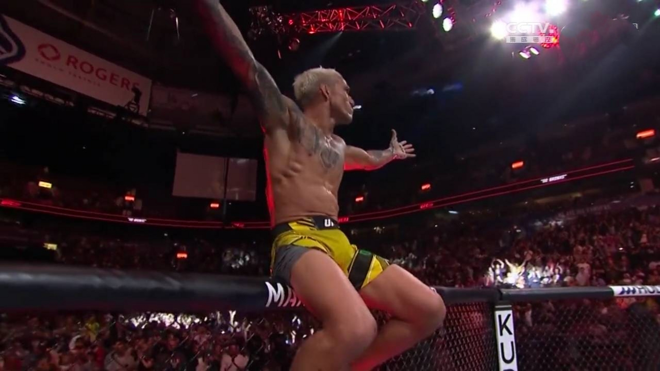 硬汉归来,ufc今日赛,巴西逆袭王子奥利维拉以迅雷不及掩耳之势击败