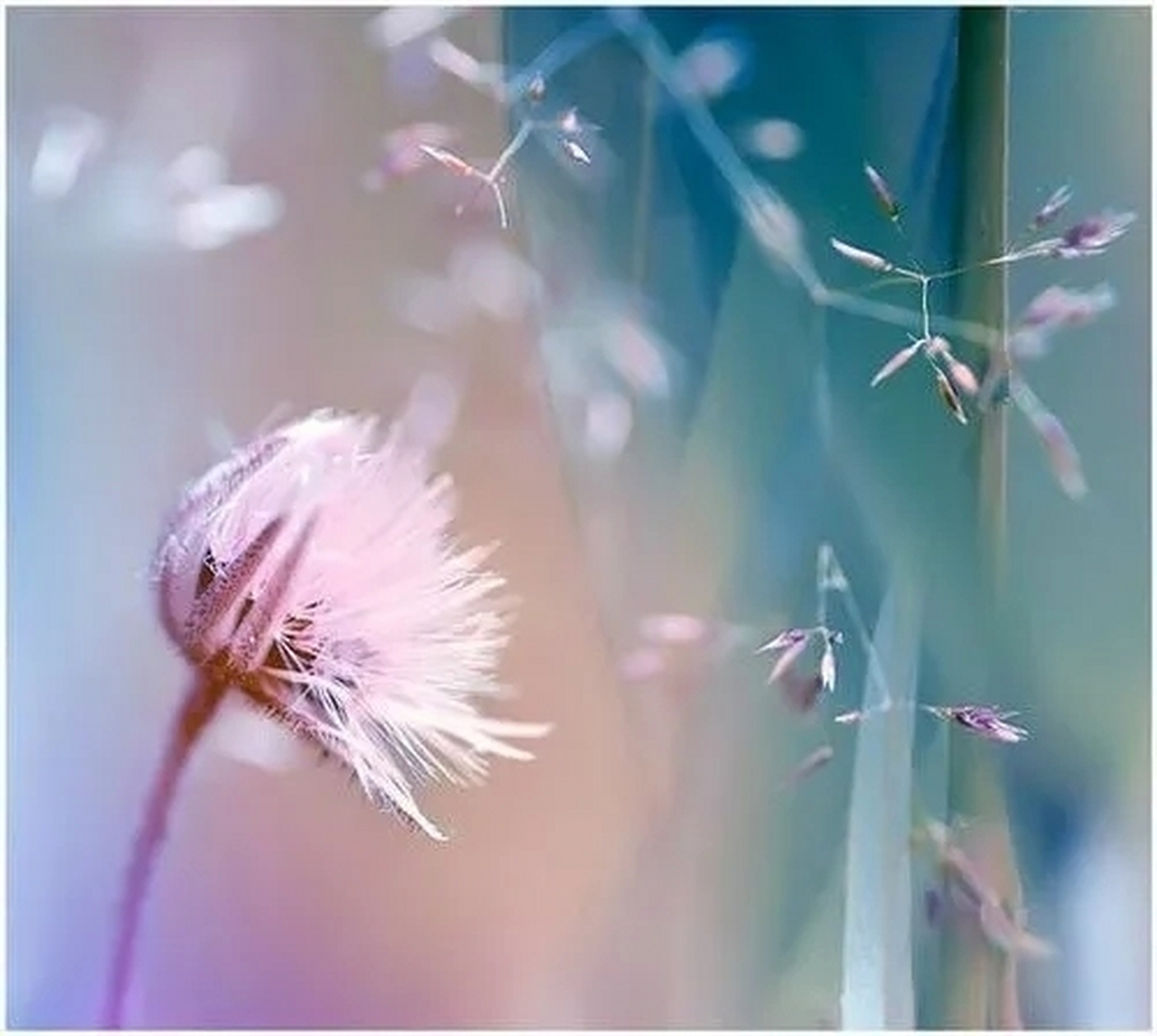 人性的自私:不屑道歉者  人性骨子里的傲慢无礼,使得一些人在伤害他人