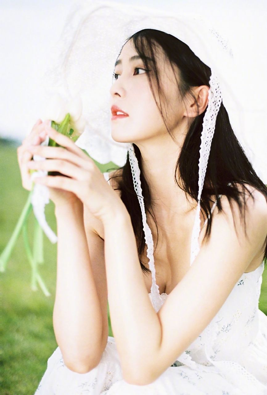 白鹿高清壁纸头像(二十九)[温暖]