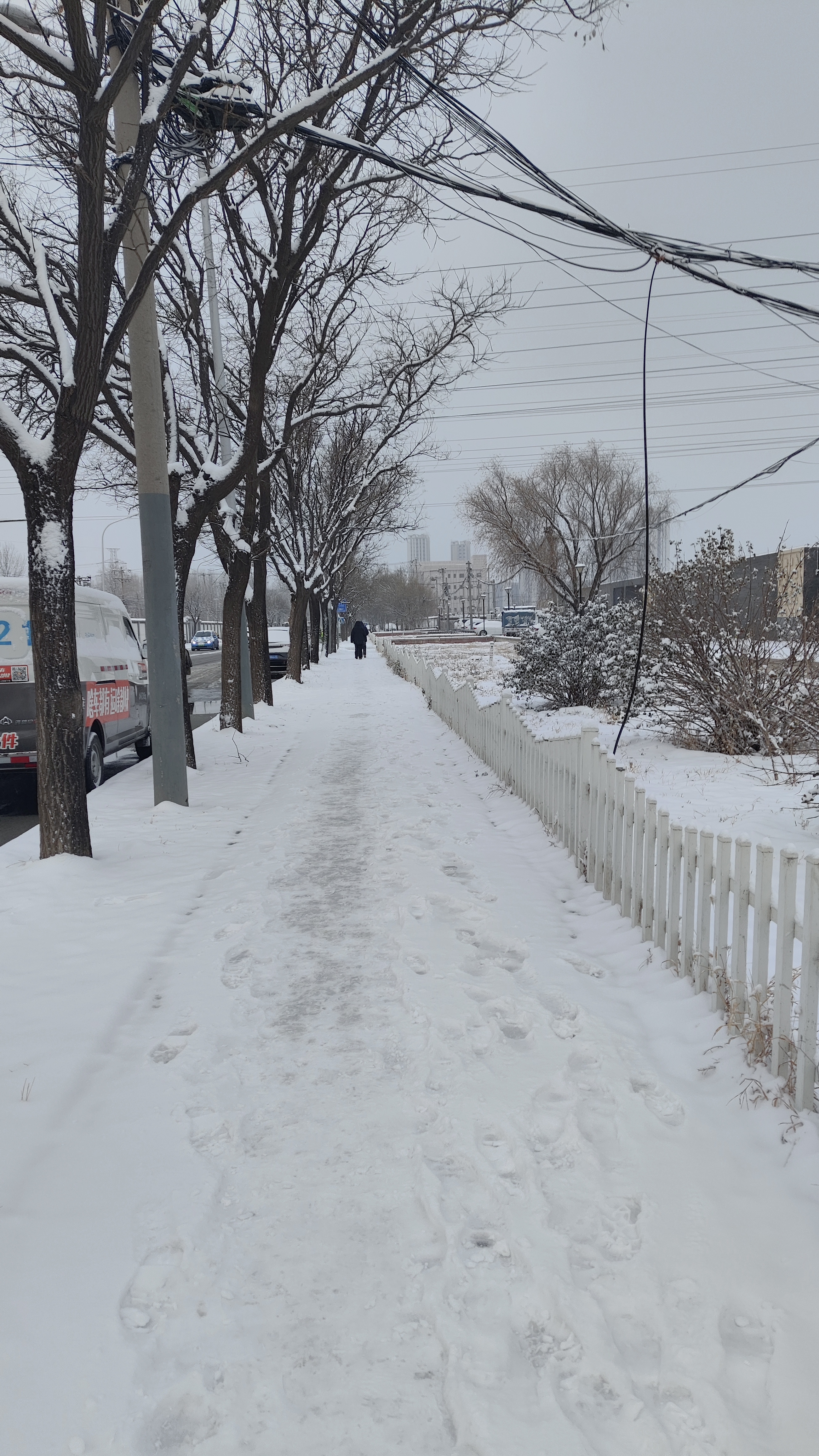 的美景   北方第一场大雪   随手拍的冬季封神照片 你的城市下雪了吗