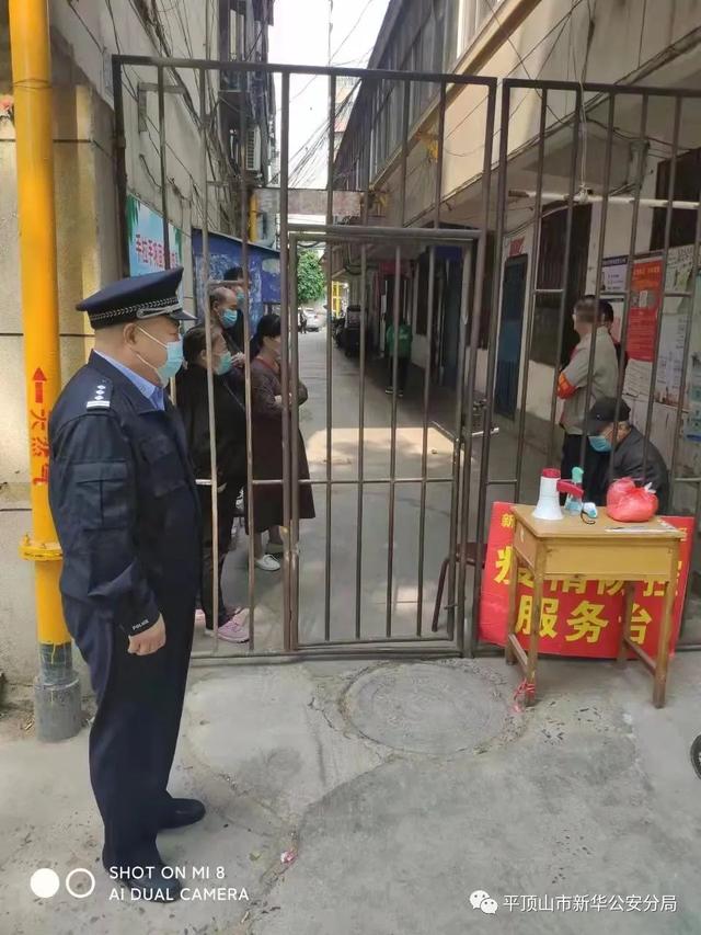 他的她