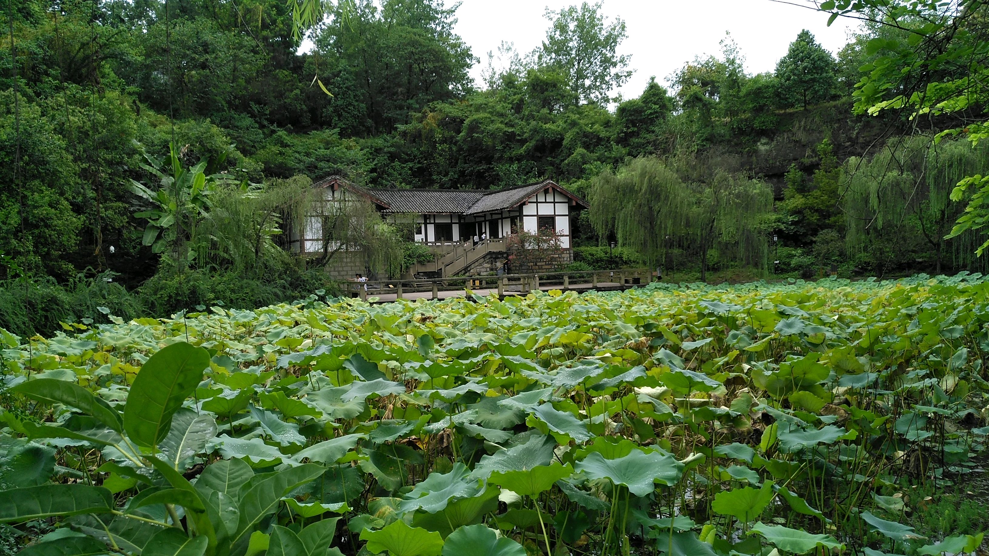 四川省内江市风景