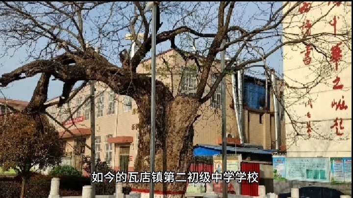 南阳市瓦店镇图片