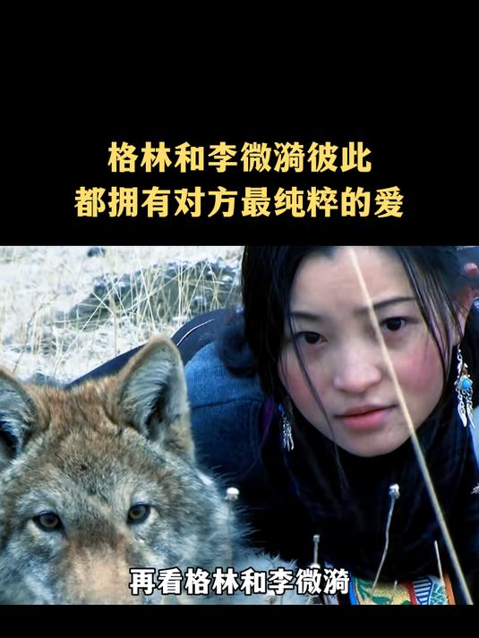 再看格林和李微漪在一起的画面还是会感动到落泪