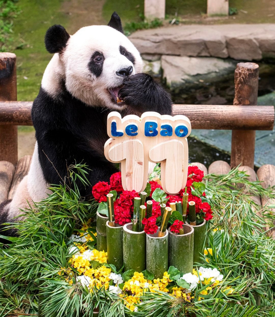 乐宝,生日快乐!