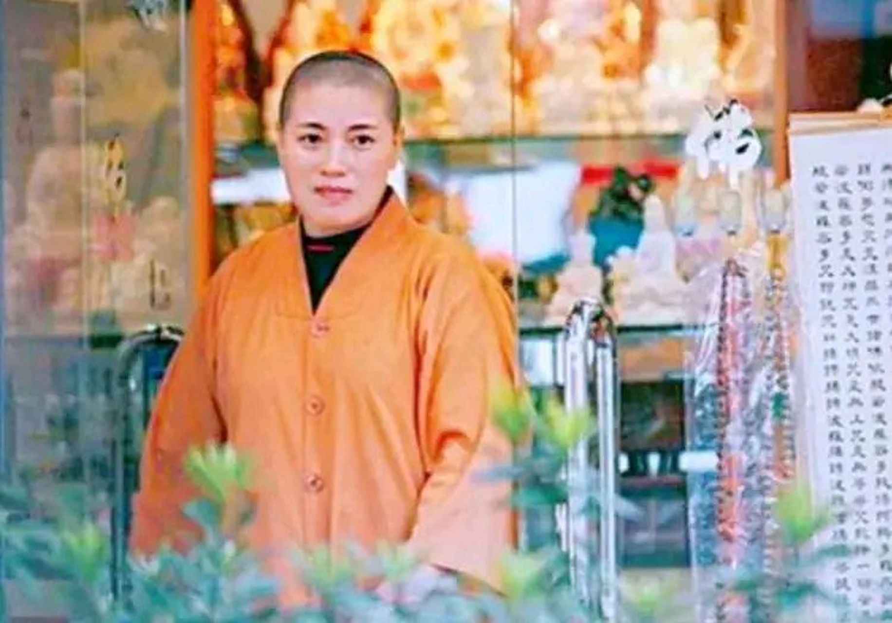 突然,寺院进来一群香港警察,带头的那位警察举着一张拘捕令,对释智定