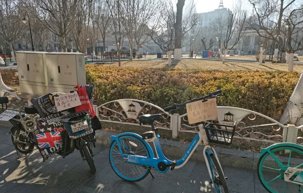 天津中心公园相亲一角,大龄青年男女待价而沽,父母为其操碎了心