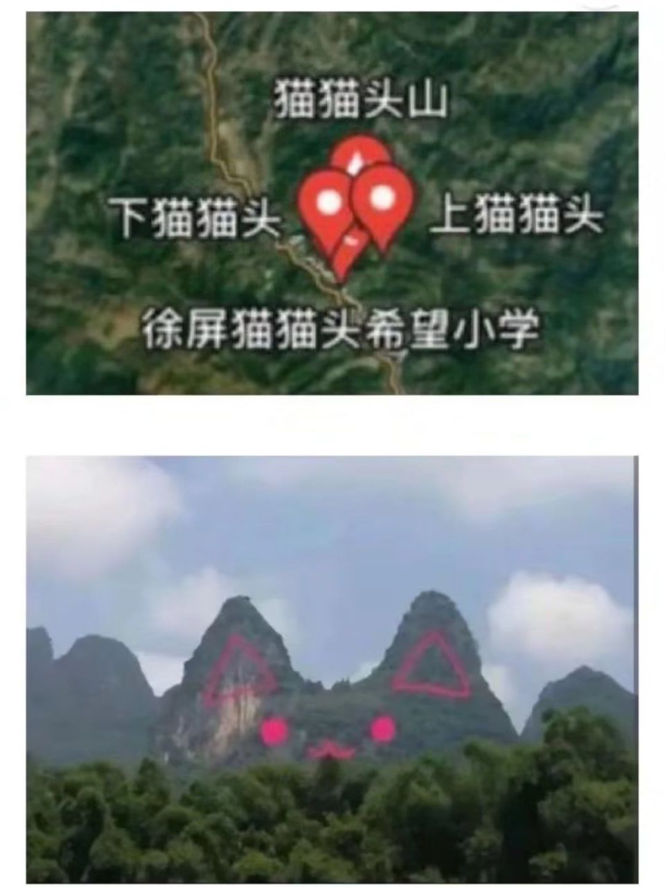 云南猫猫山图片