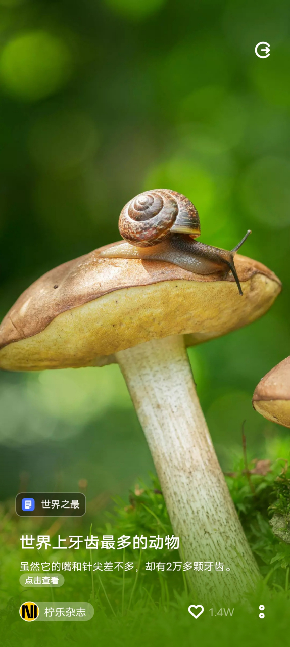 蜗牛是世界上牙齿最多的动物吗?