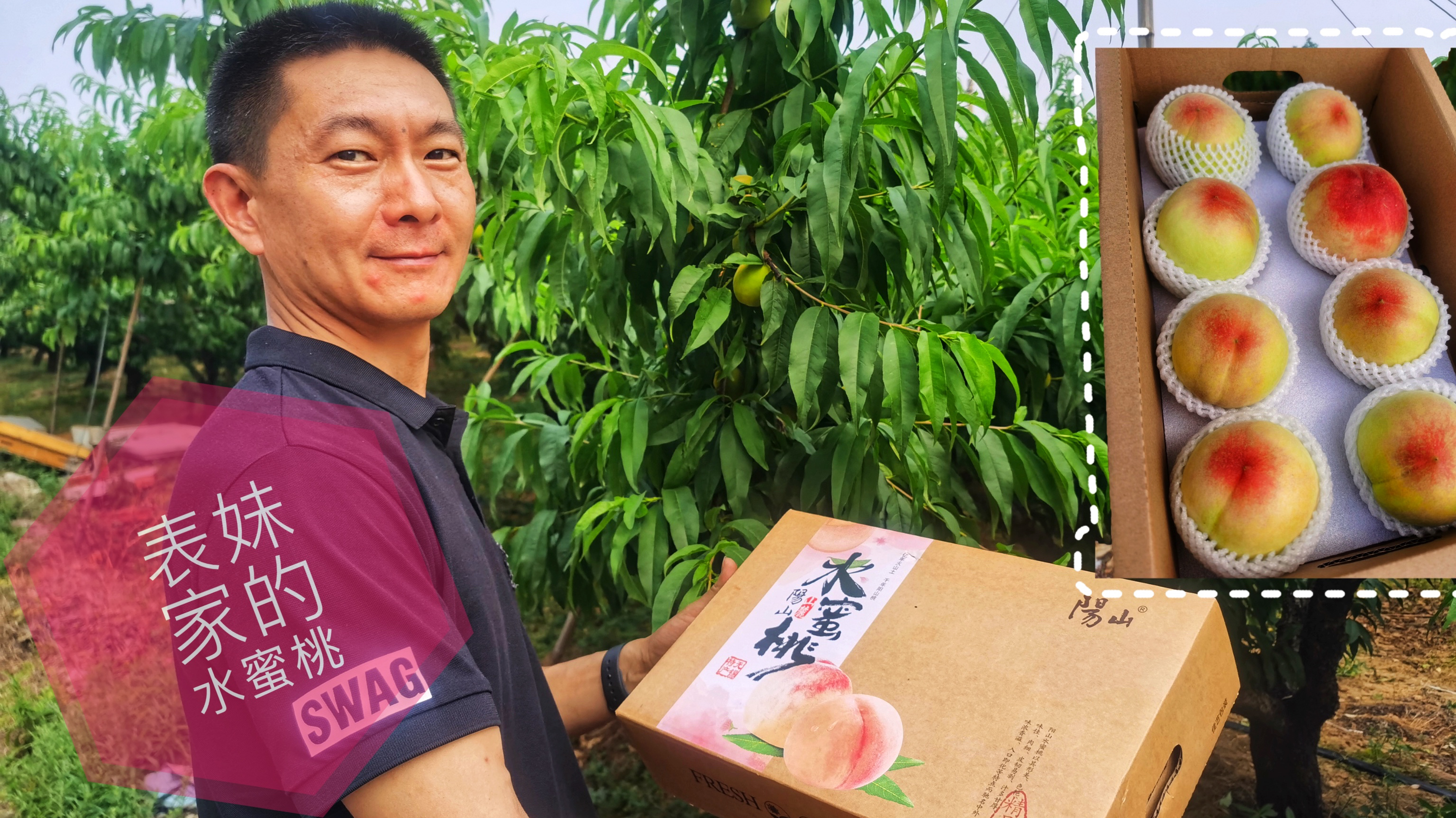 水蜜桃几月开始吃?阳山产区的桃子现在怎么样?去表妹家一探究竟