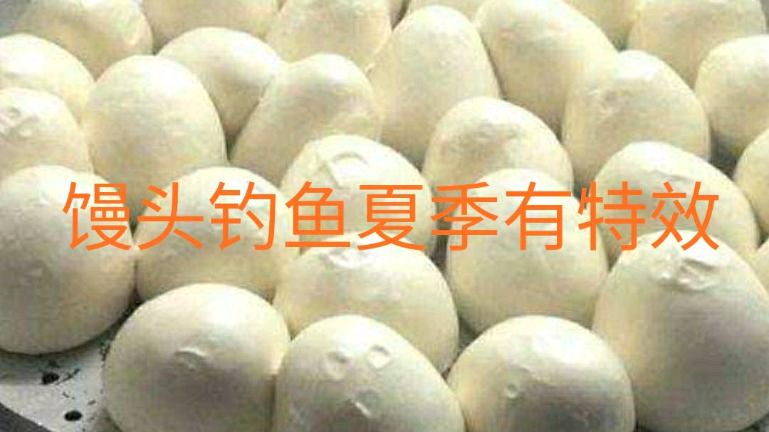 野钓用馒头做钓饵,对鲫鱼鲤鱼都管用,具体用法在视频中详解