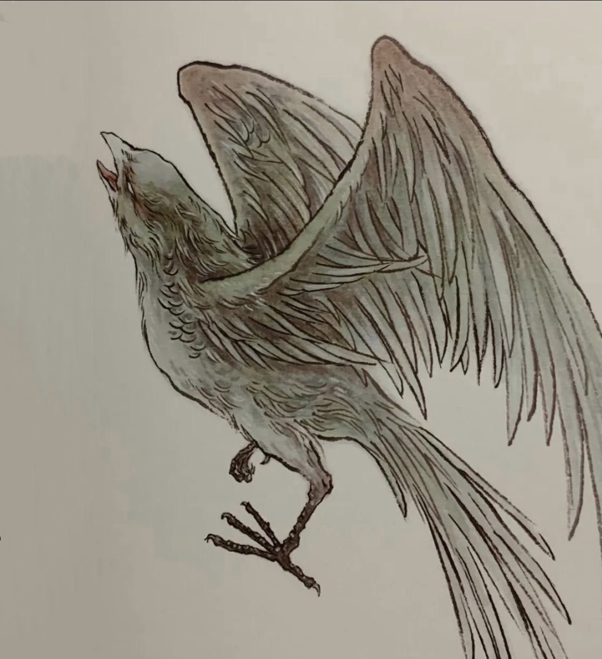 国学《山海经》中山十一经——青耕,模仿动物,开启了人类的智慧