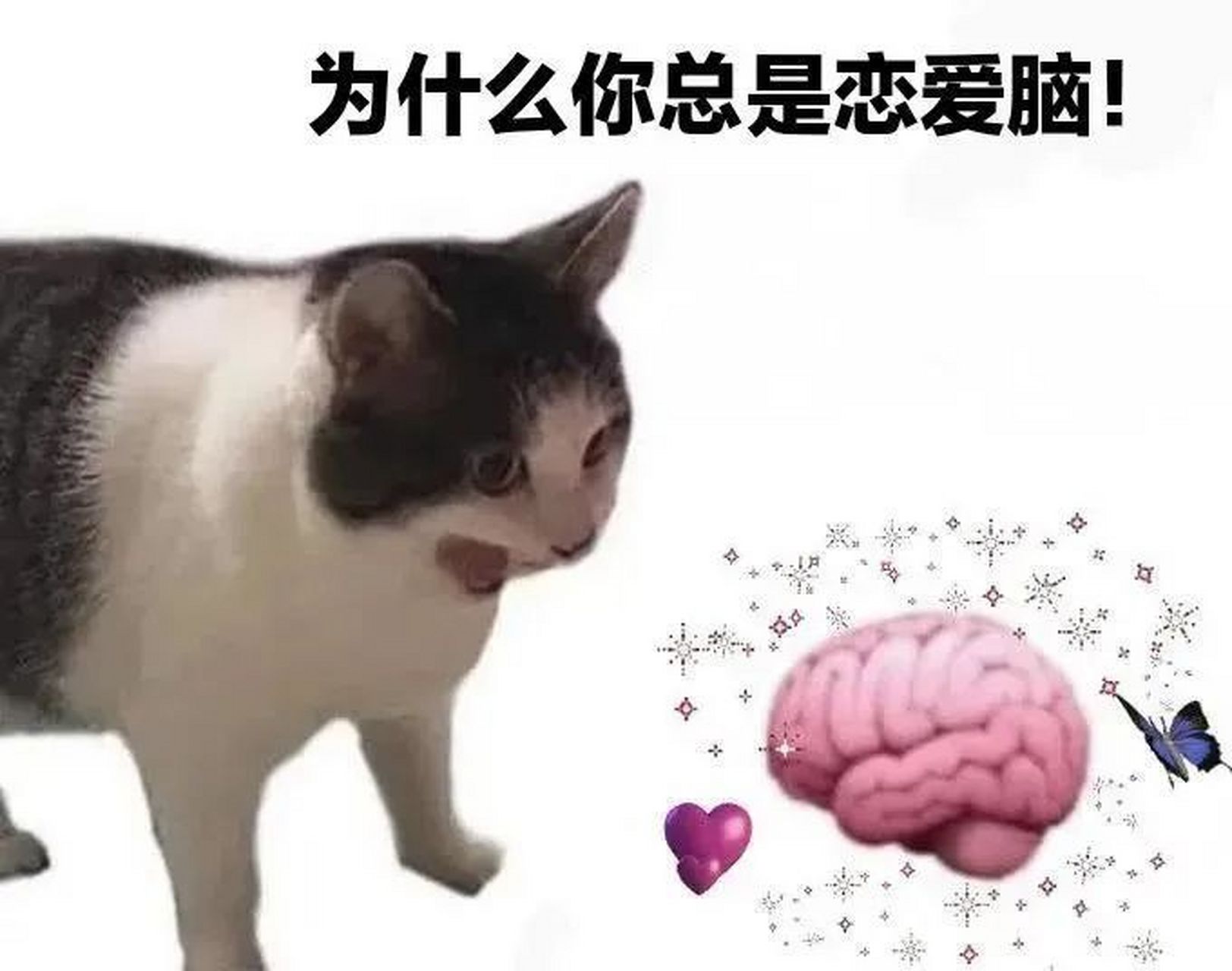 表情包# #逗你玩呢# 为什么你总是恋爱脑