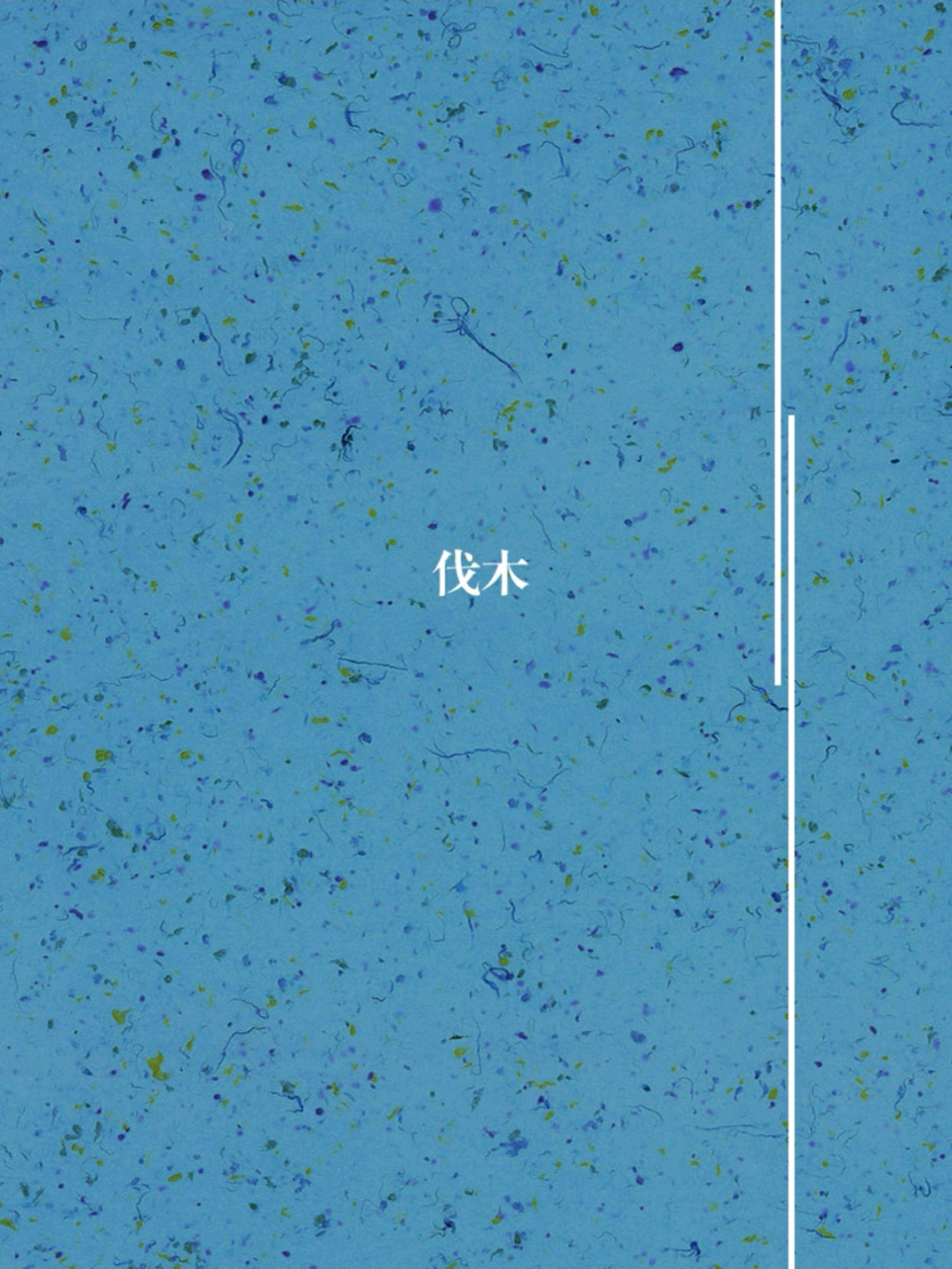 周末读诗——《伐木》 ——选自《诗经.