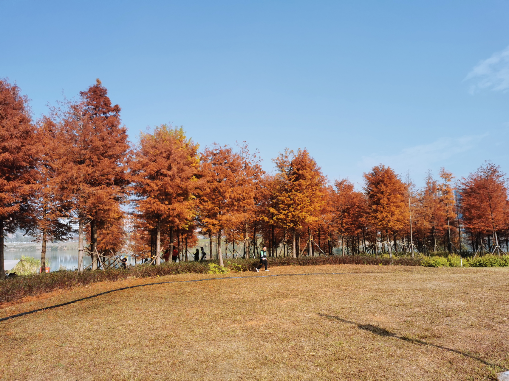 灵龟山生态公园