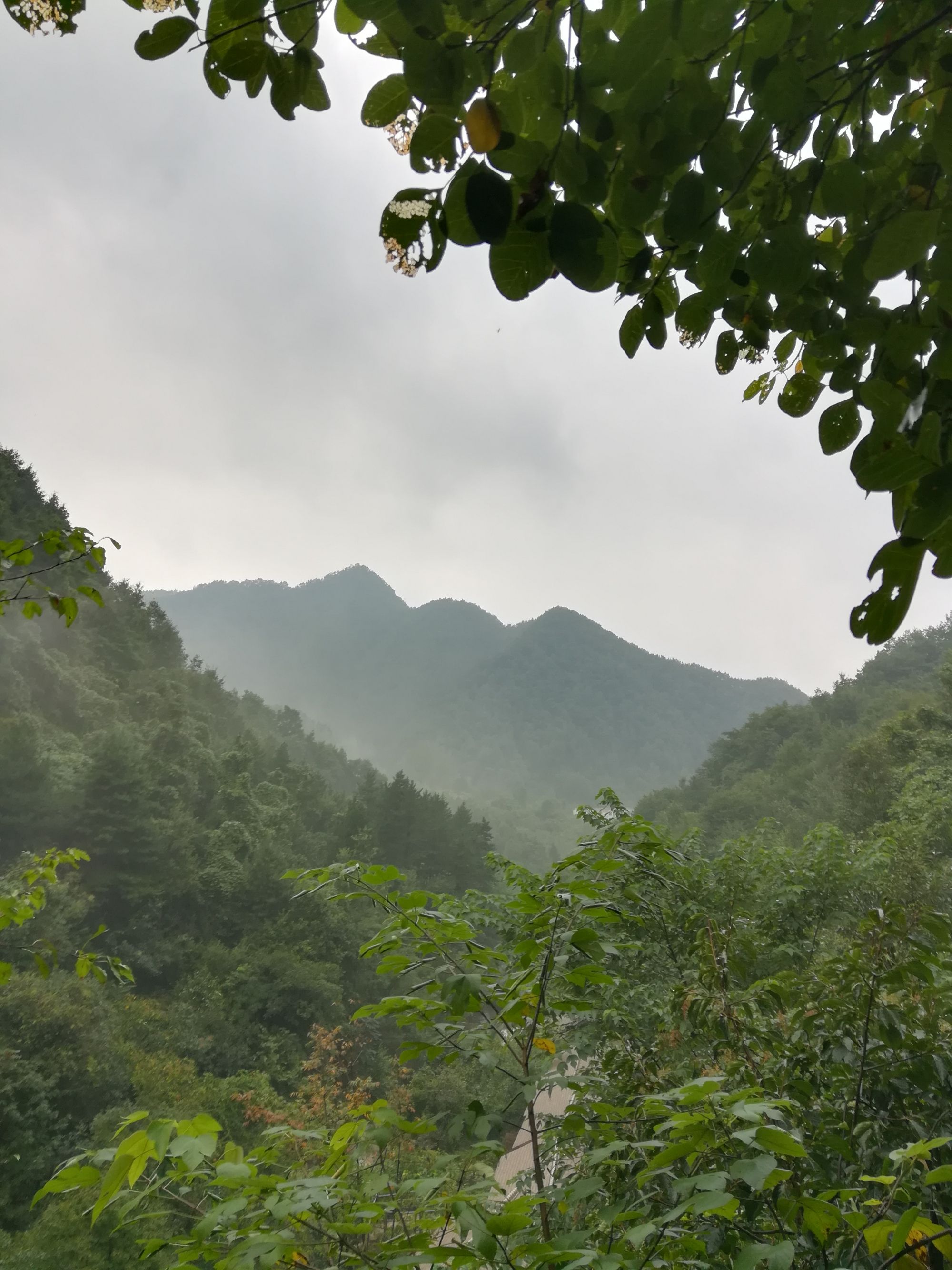 风雨欲来风满楼-风雨欲来风满楼漫画全集(无弹窗)全文在线阅读-风雨欲来风满楼-风雨欲来风满楼漫画(在线免费版)(全文阅读)