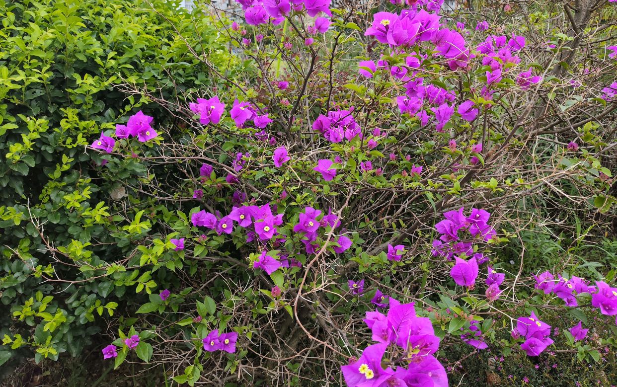 「二元次语」0048-0049癸卯五月