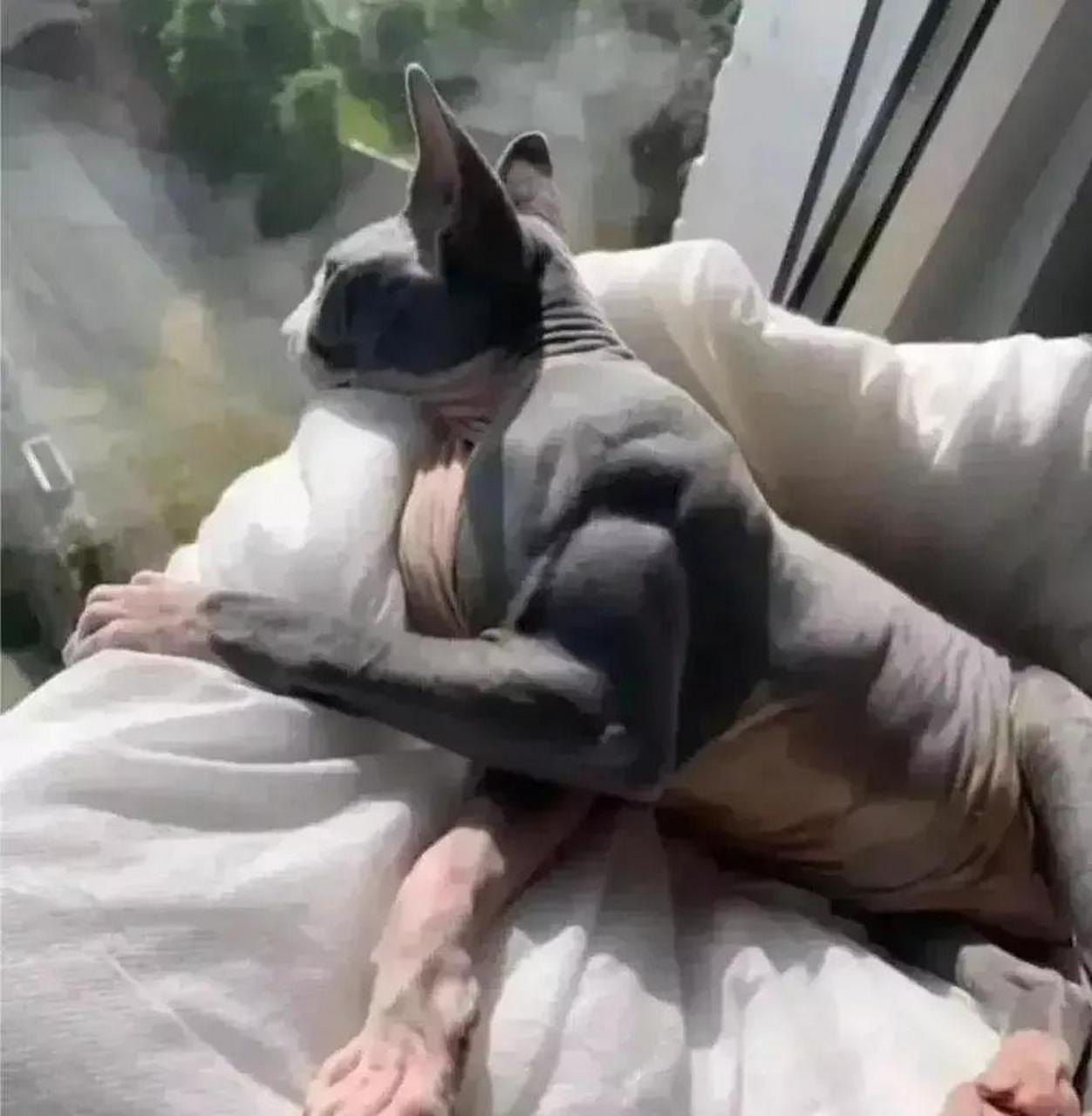 这身肌肉超人强看了都得摇头