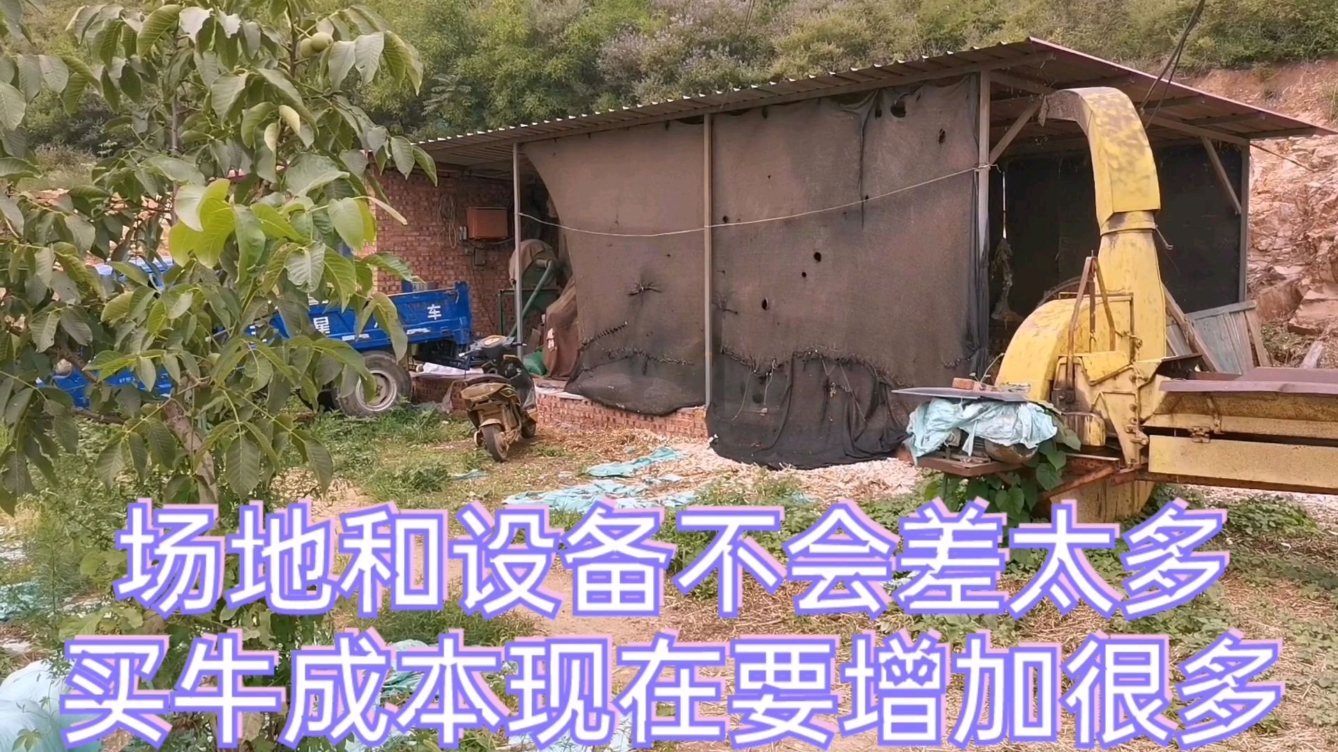 投资一个二十头母牛规模的养殖场需要多少钱?都需要哪些费用