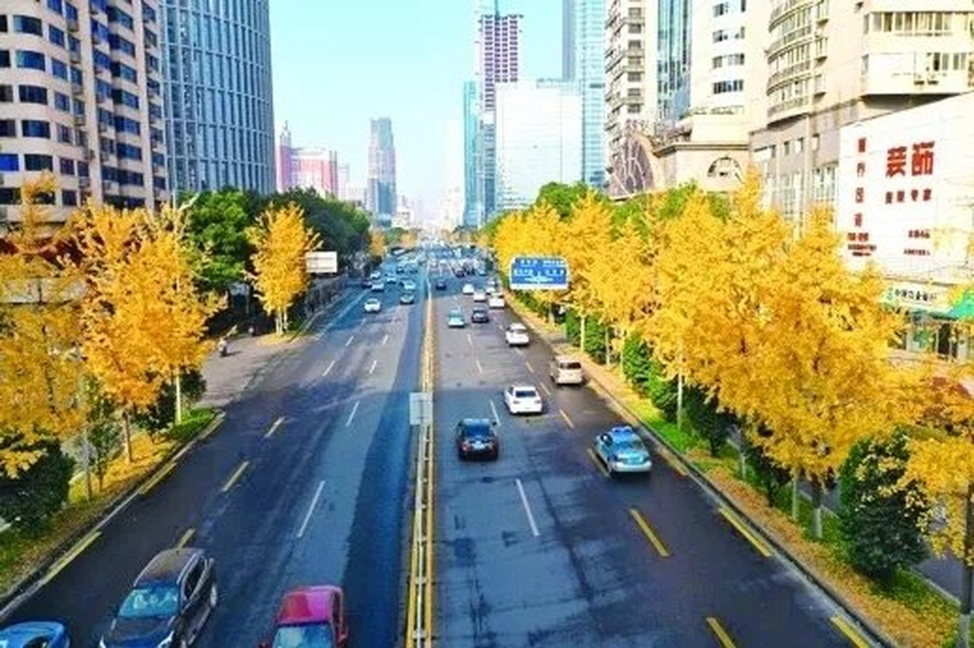 长沙芙蓉中路绵延13公里的3600株银杏黄了,美的让人陶醉,随手一拍就是
