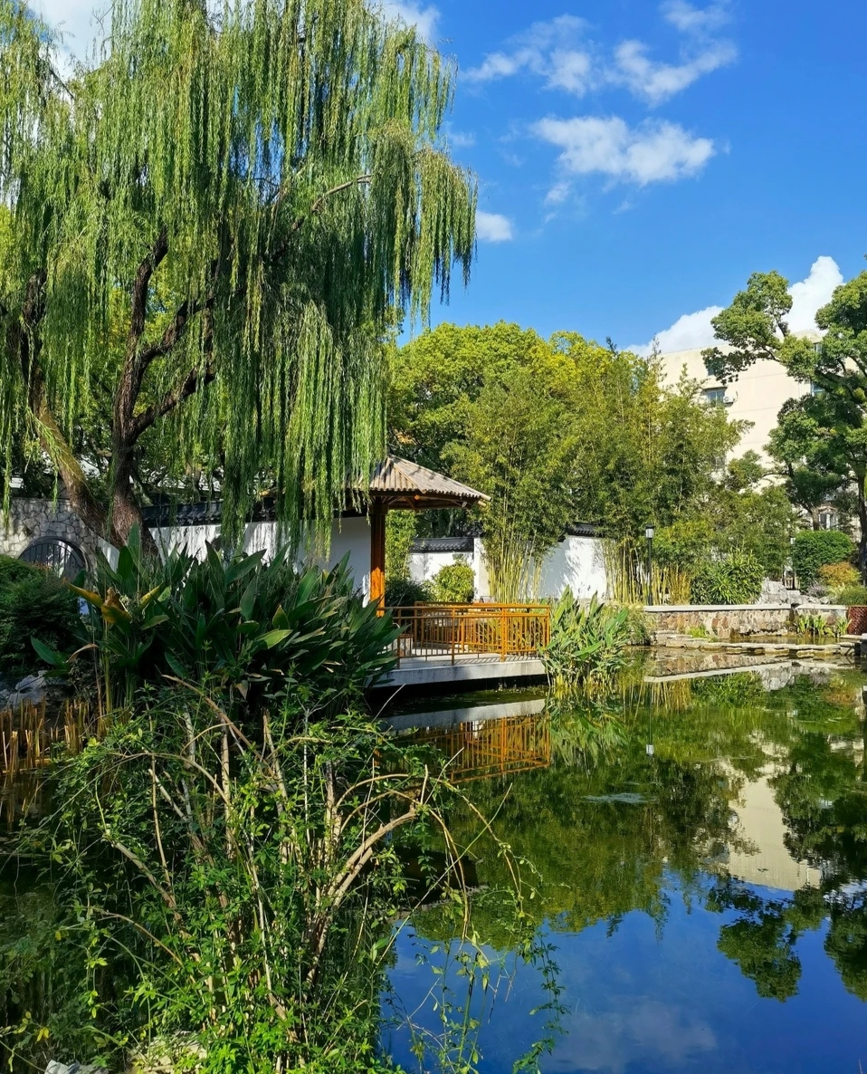 上海徐汇东安公园令人深深陶醉