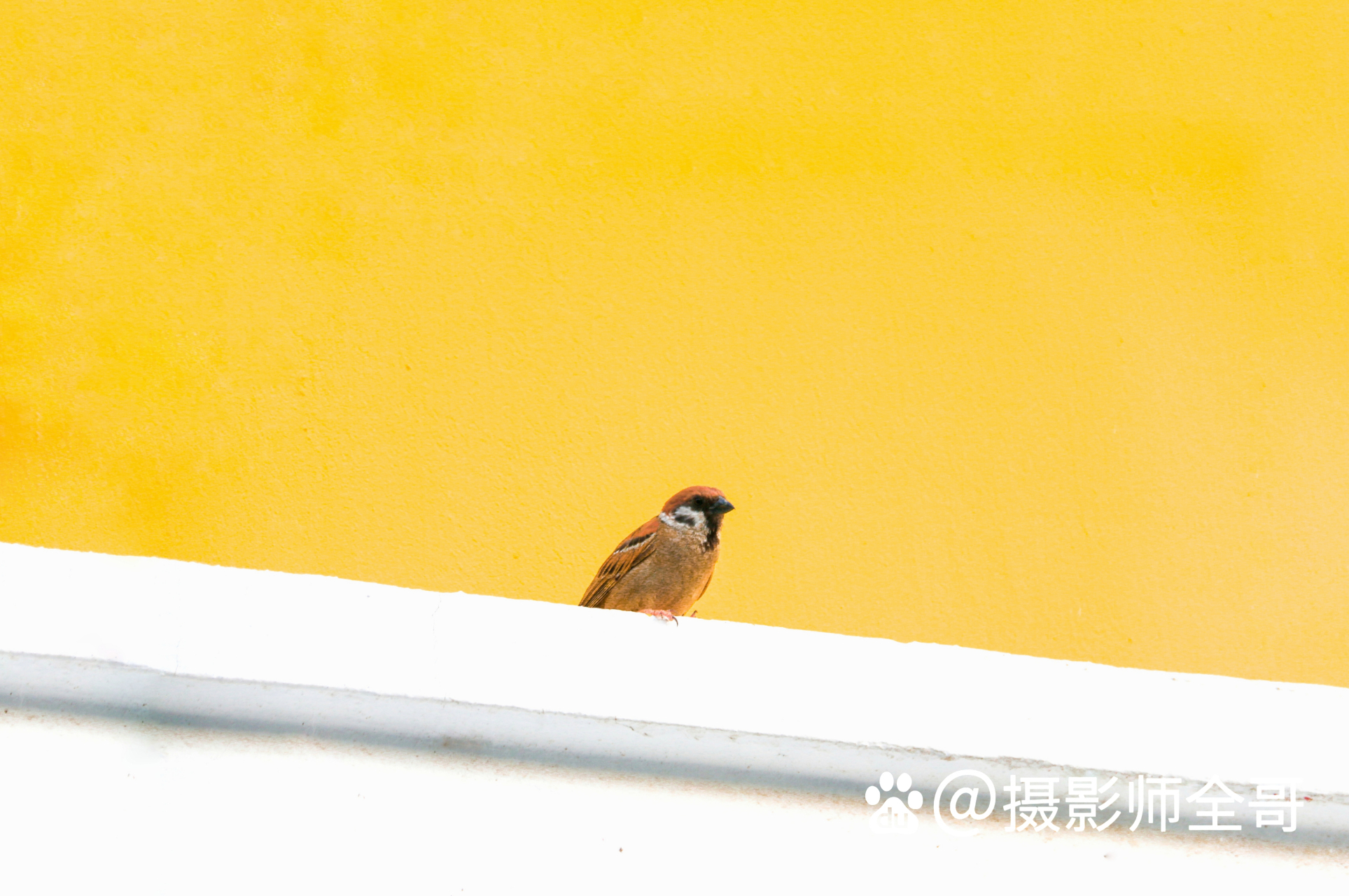 摄影术语——留白.