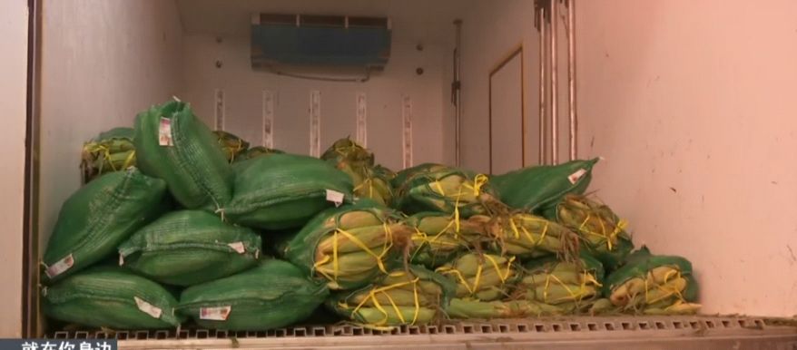 武汉白沙洲玉米抵运费事件,美名其曰行规,实为霸王条款