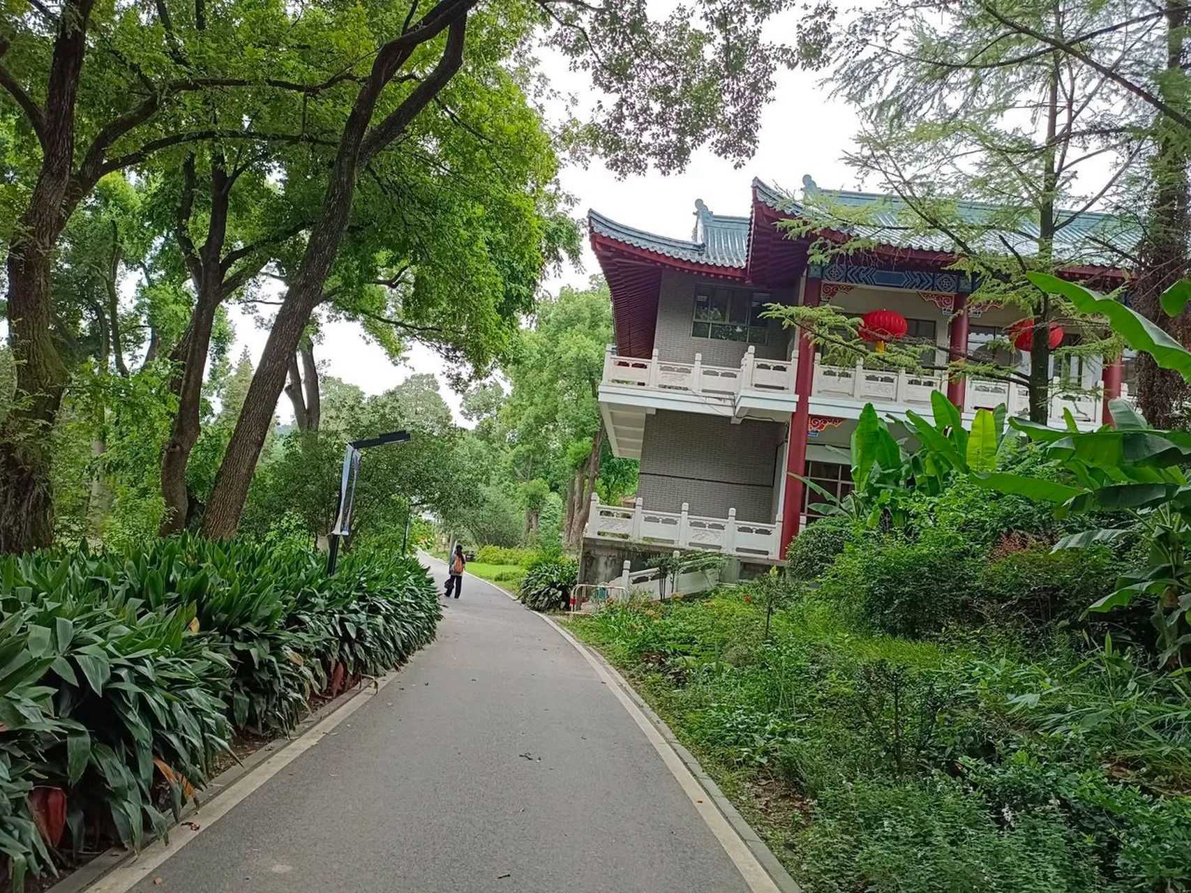 今天一个关系非常好的大学好友,给我打电话打了一个