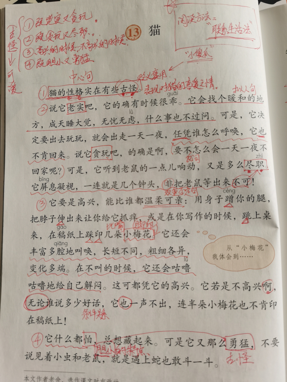 老舍猫课堂笔记图片