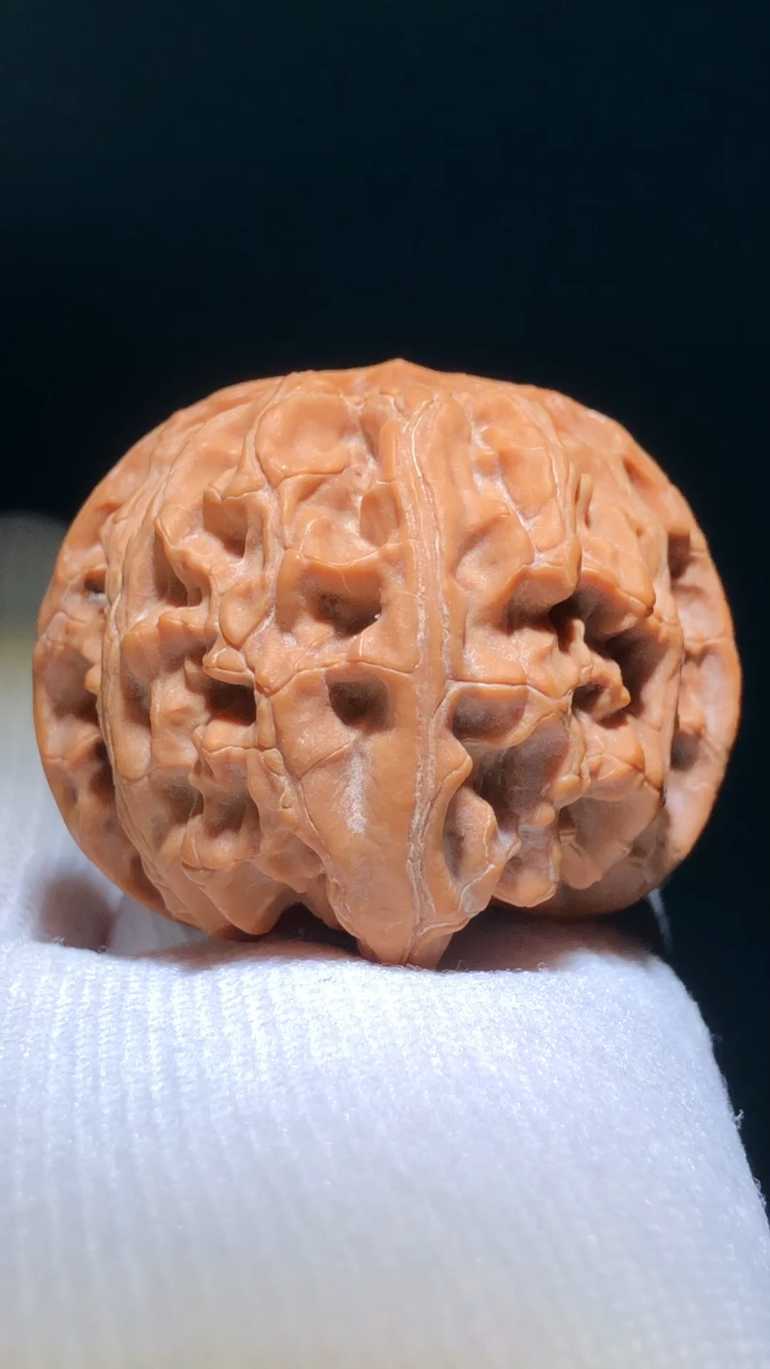 极品红皮苹果园狮子头