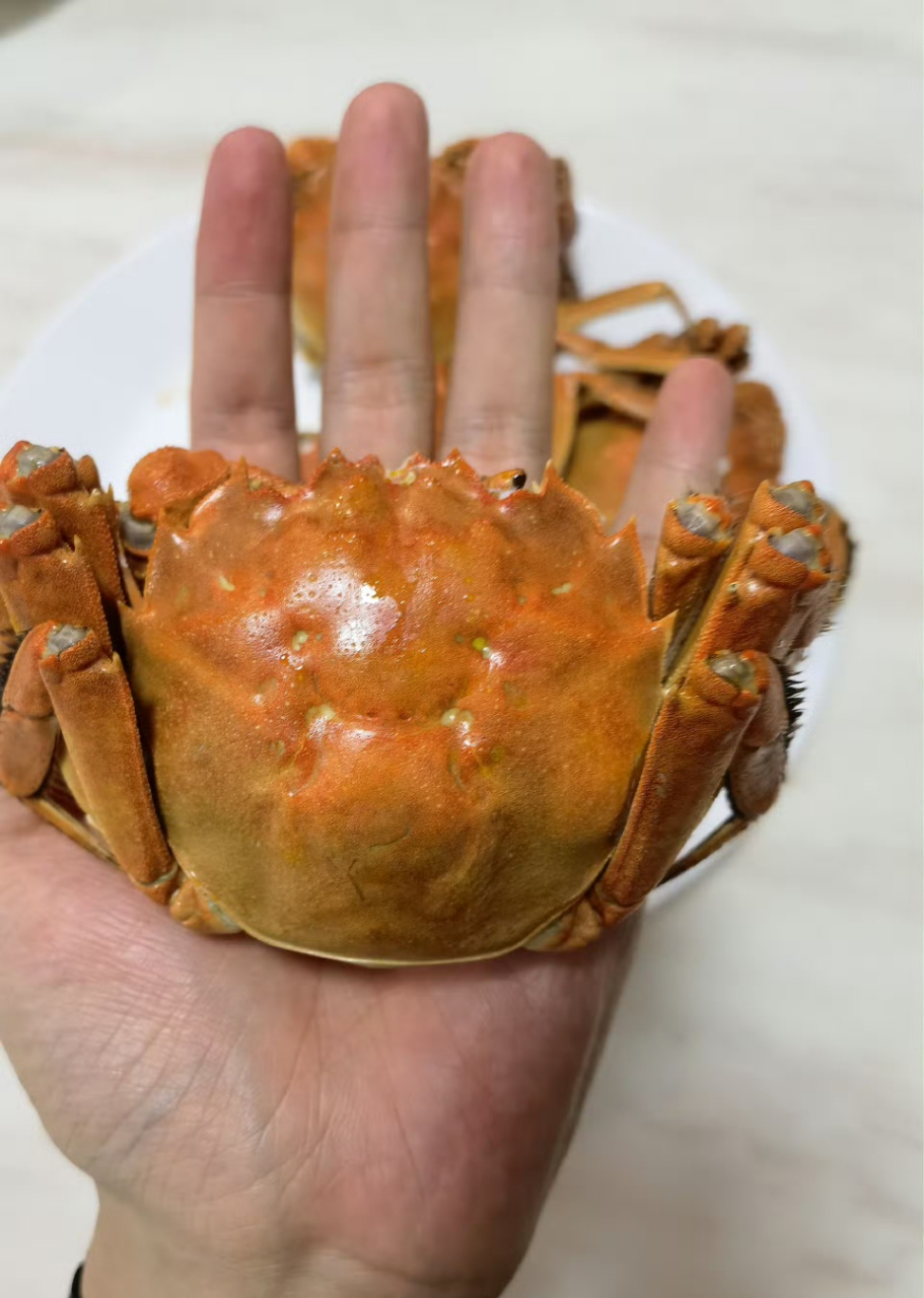 秋天的第一顿大闸蟹上线～你吃大匣蟹了吗?