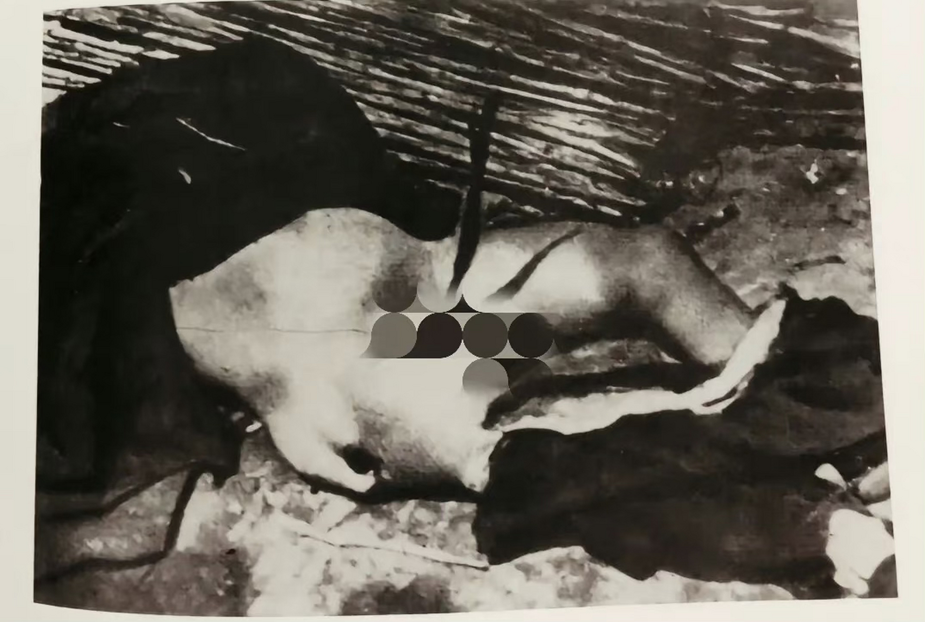 第三张老照片:遭日军轮奸后的妇女又