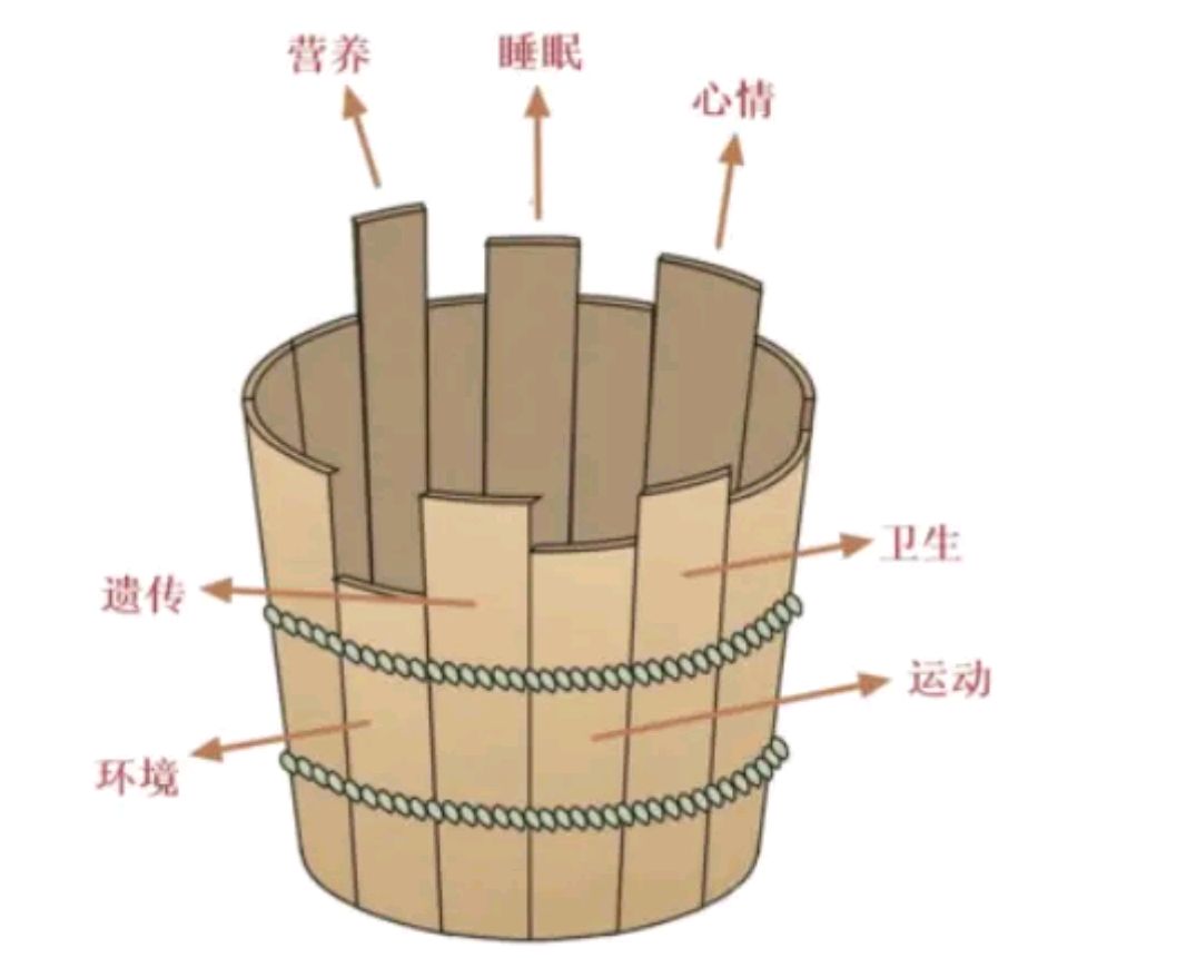 偏科现象严重?短木桶效应你知道的,即将中高考的你,如何补短板