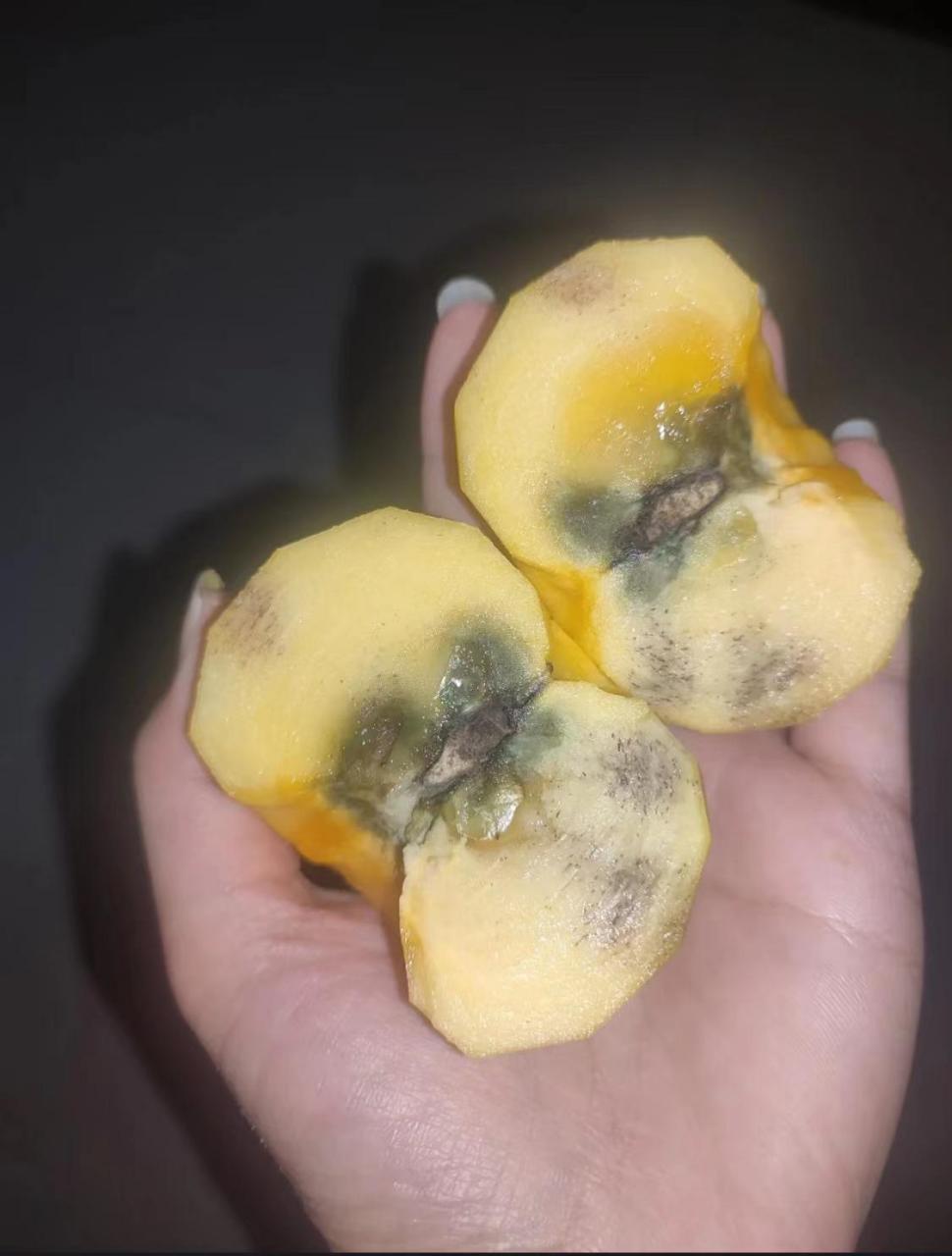 这样的脆柿子应该不能吃了吧?中间的不是氧化应该是发霉了