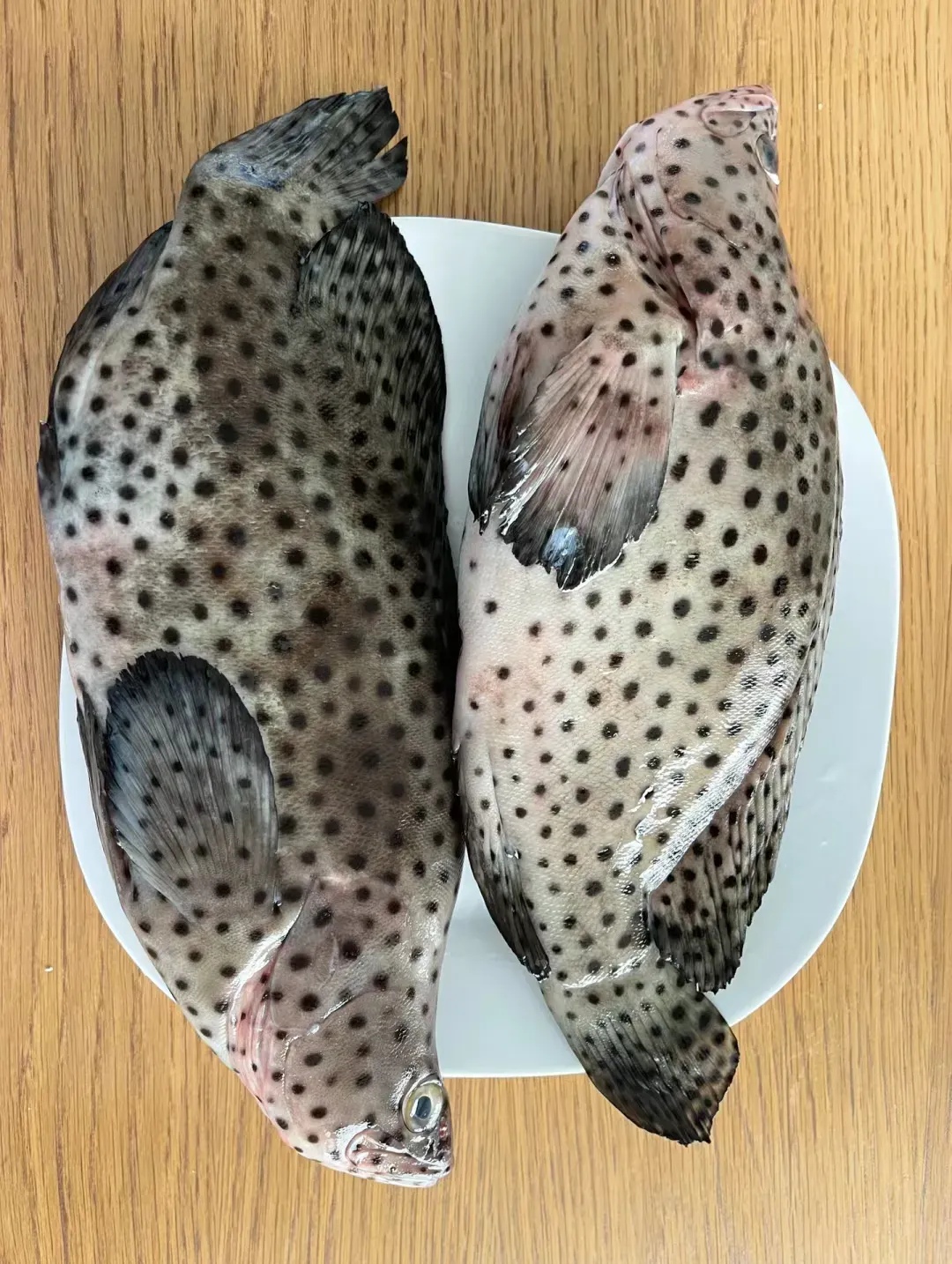 去海南参加发小的婚礼,临走前送了我三条鱼,回到家冰还没化,我妈说趁