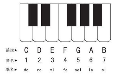 钢琴上的1234567怎么确定