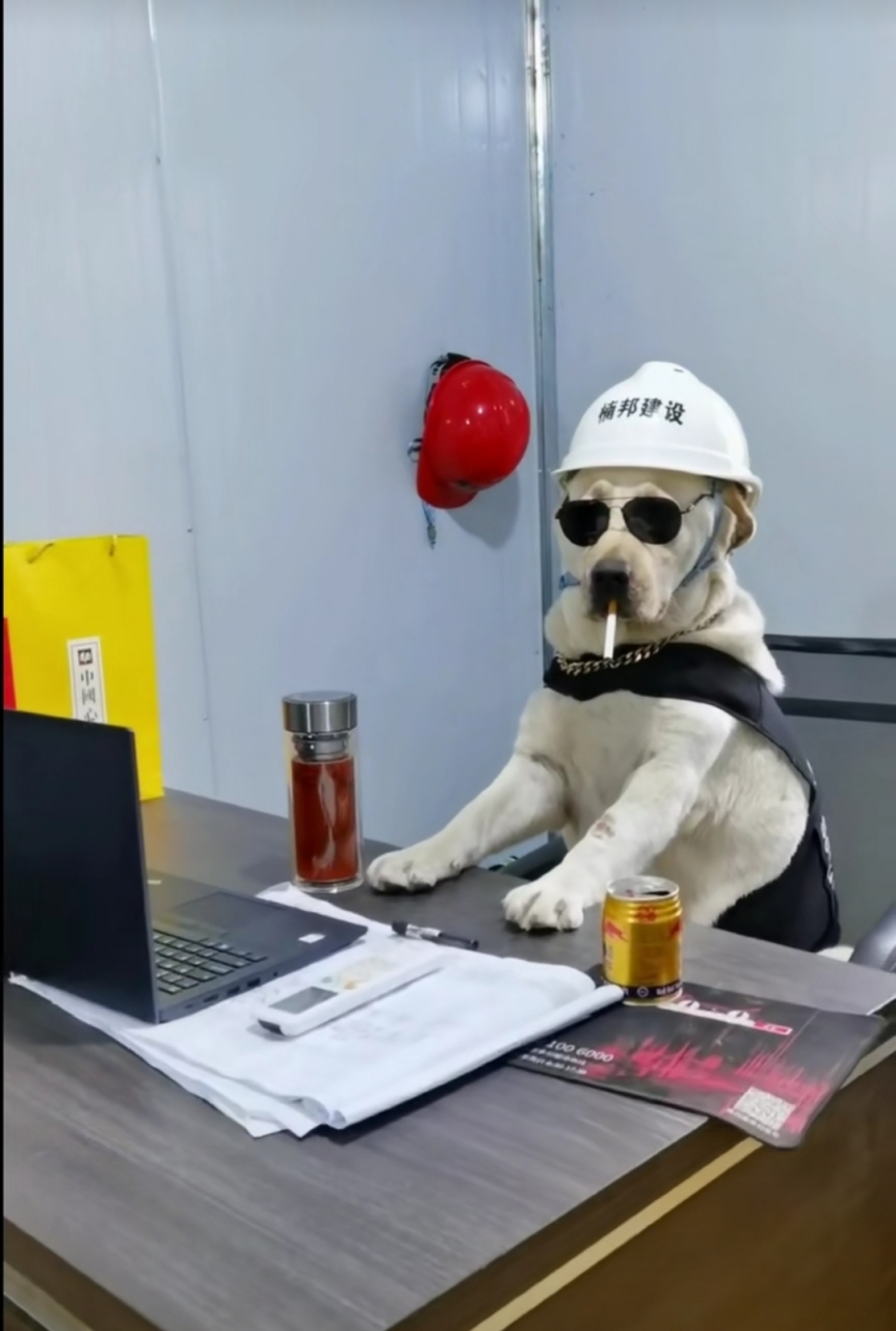 带着小墨镜,抽着饭后烟,小日子美滋滋!#趣图搞笑# #搞笑内涵图