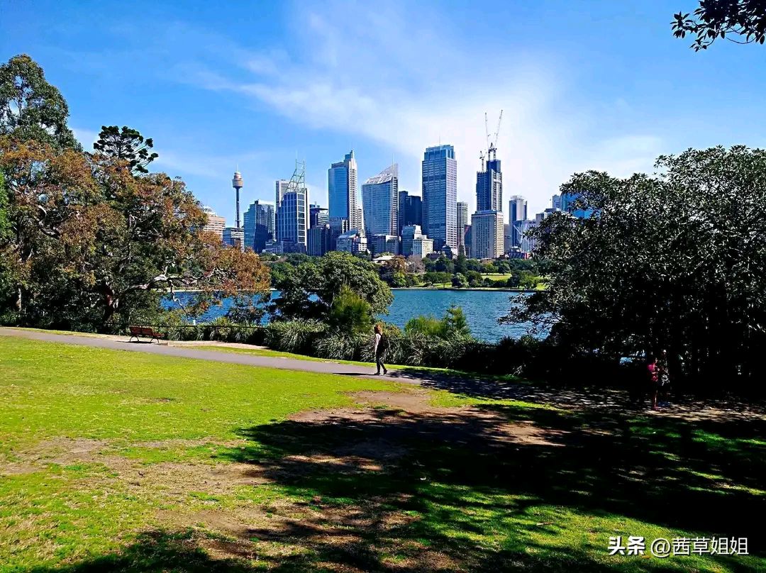 澳洲悉尼皇家植物园,闹市中的一片绿洲,是一个去了又想去的地方