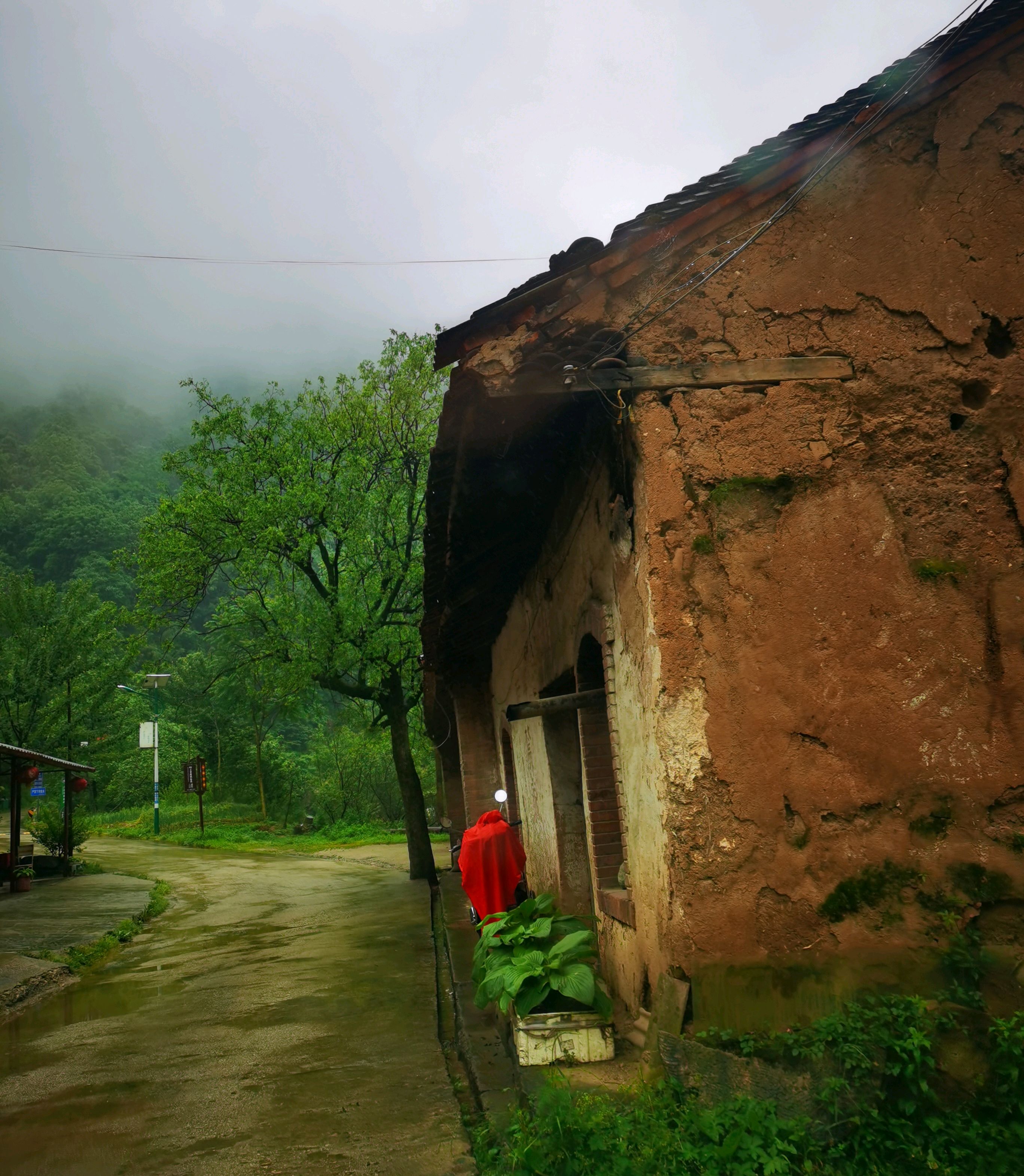 来辟谷吧,终南山的风景好治愈,身心放松,报道的这天
