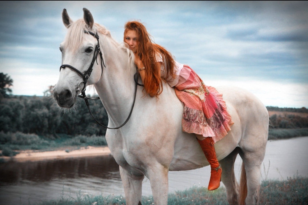 现代:玉兰白龙驹pk乌骓马