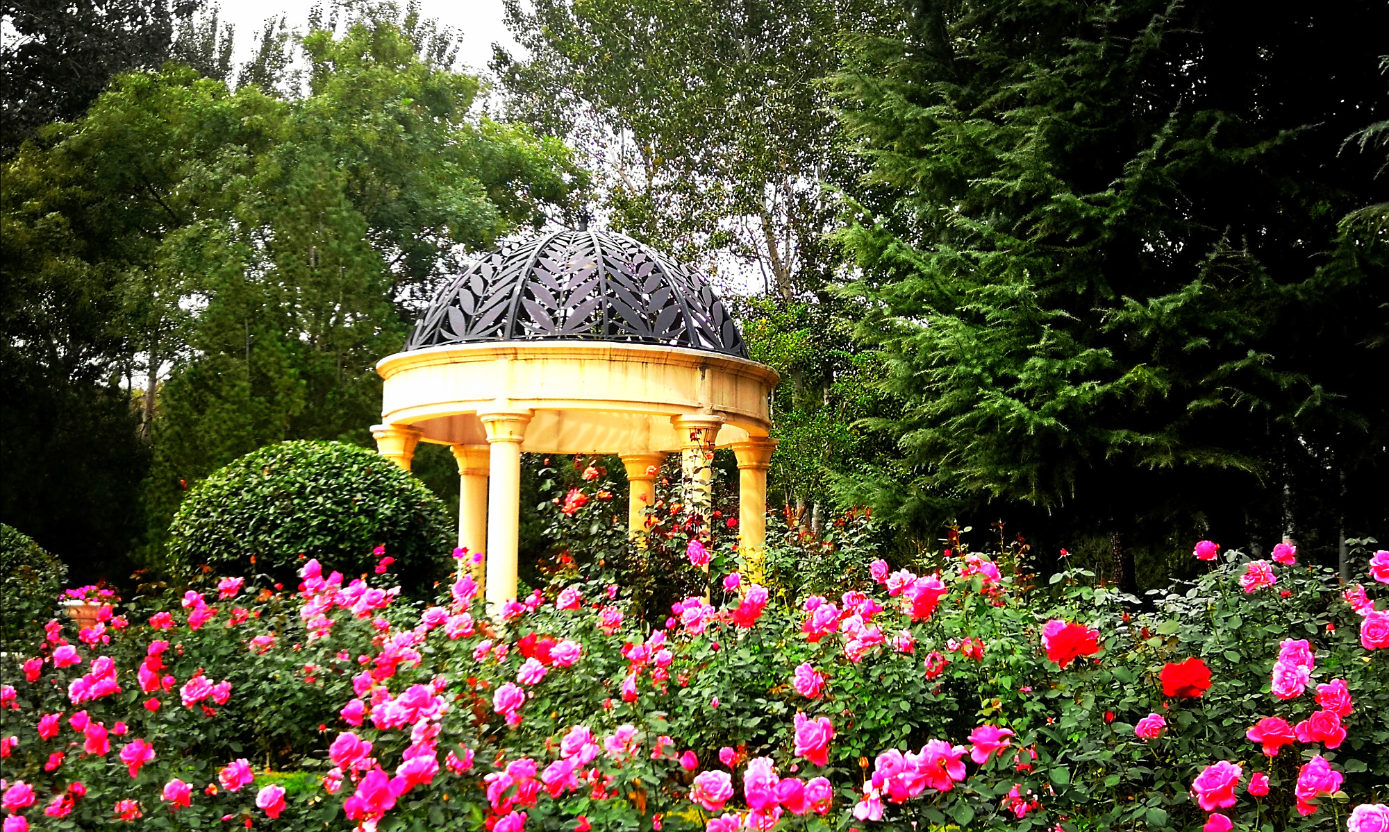 济南植物园,花团锦簇,绿意盎然