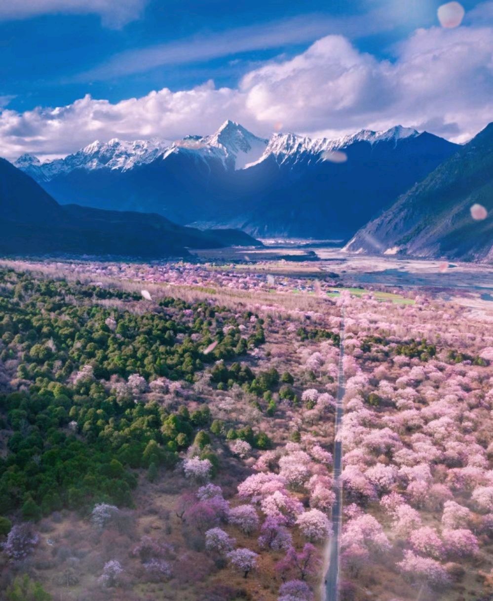 林芝桃花沟景区图片