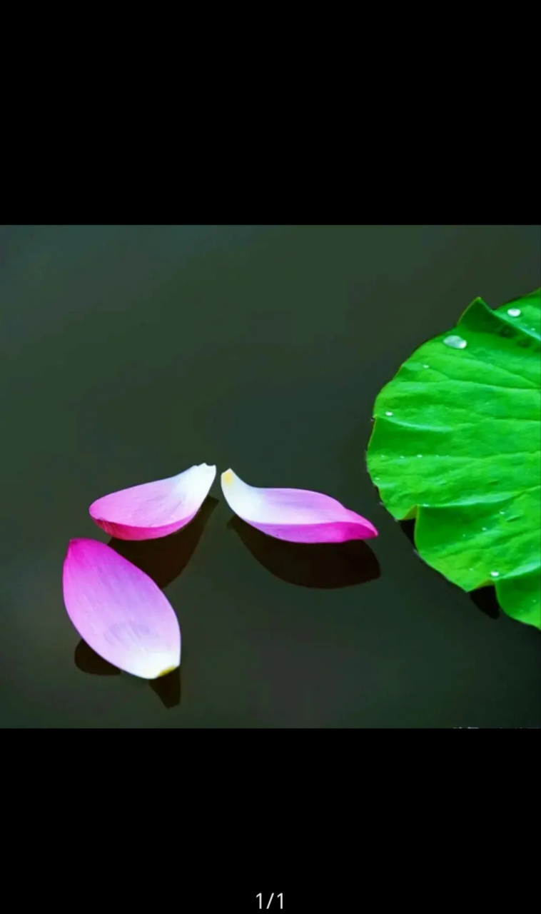 落花流水送曾经, 霜染青丝梦未停.