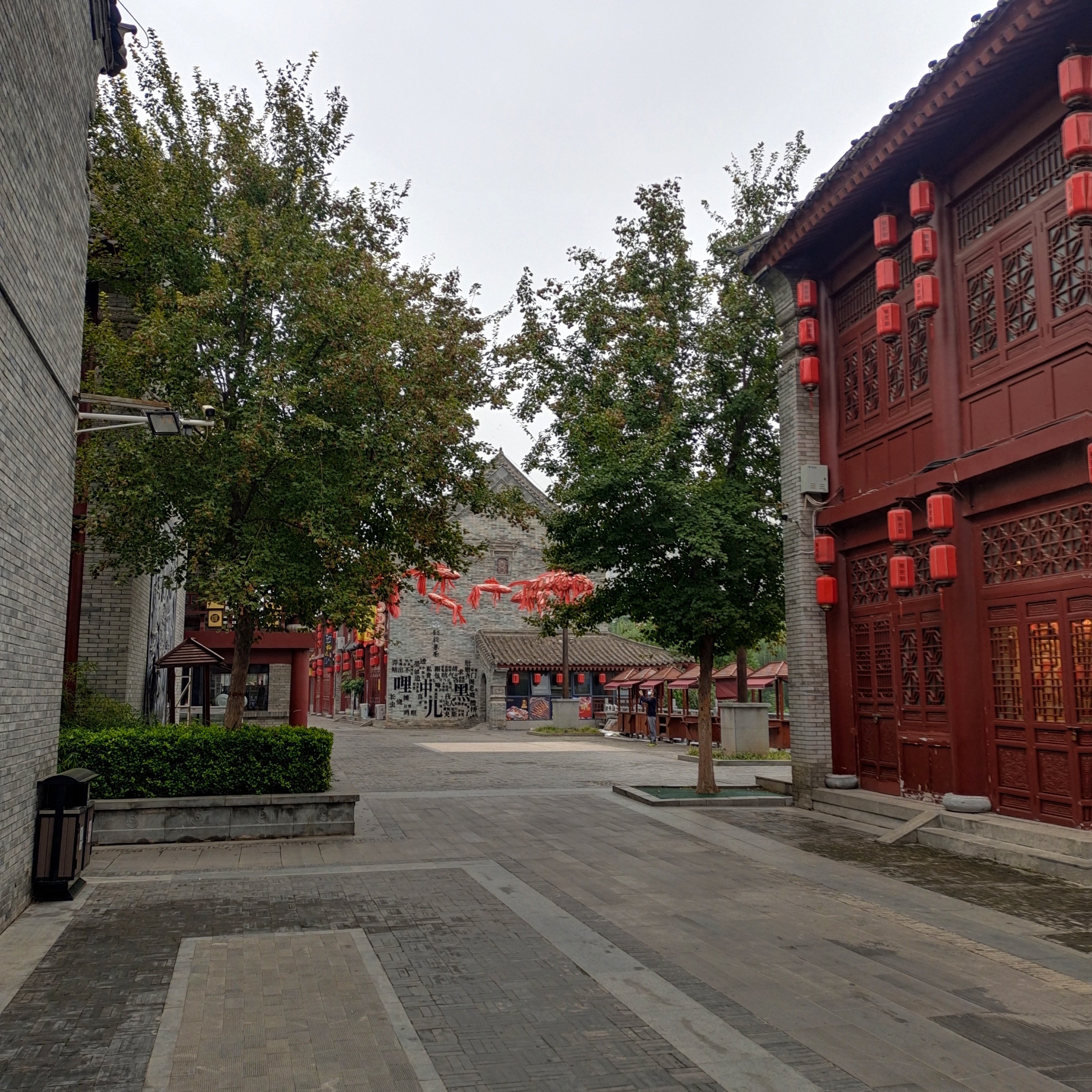 铜驼暮雨图片图片