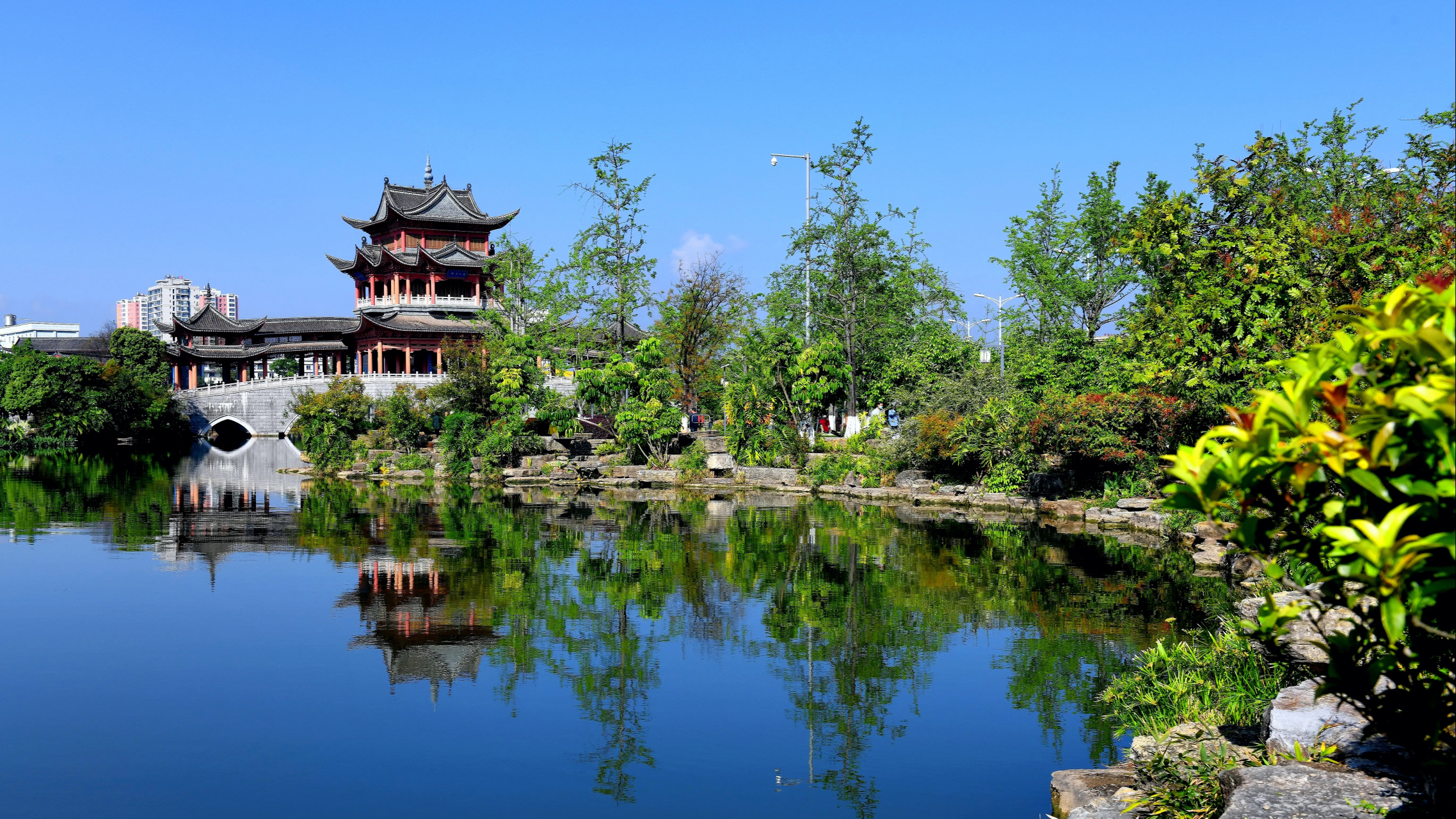 今年避暑的旅居城市是云南的玉溪市区,而不是玉溪市澄江县的抚仙湖畔