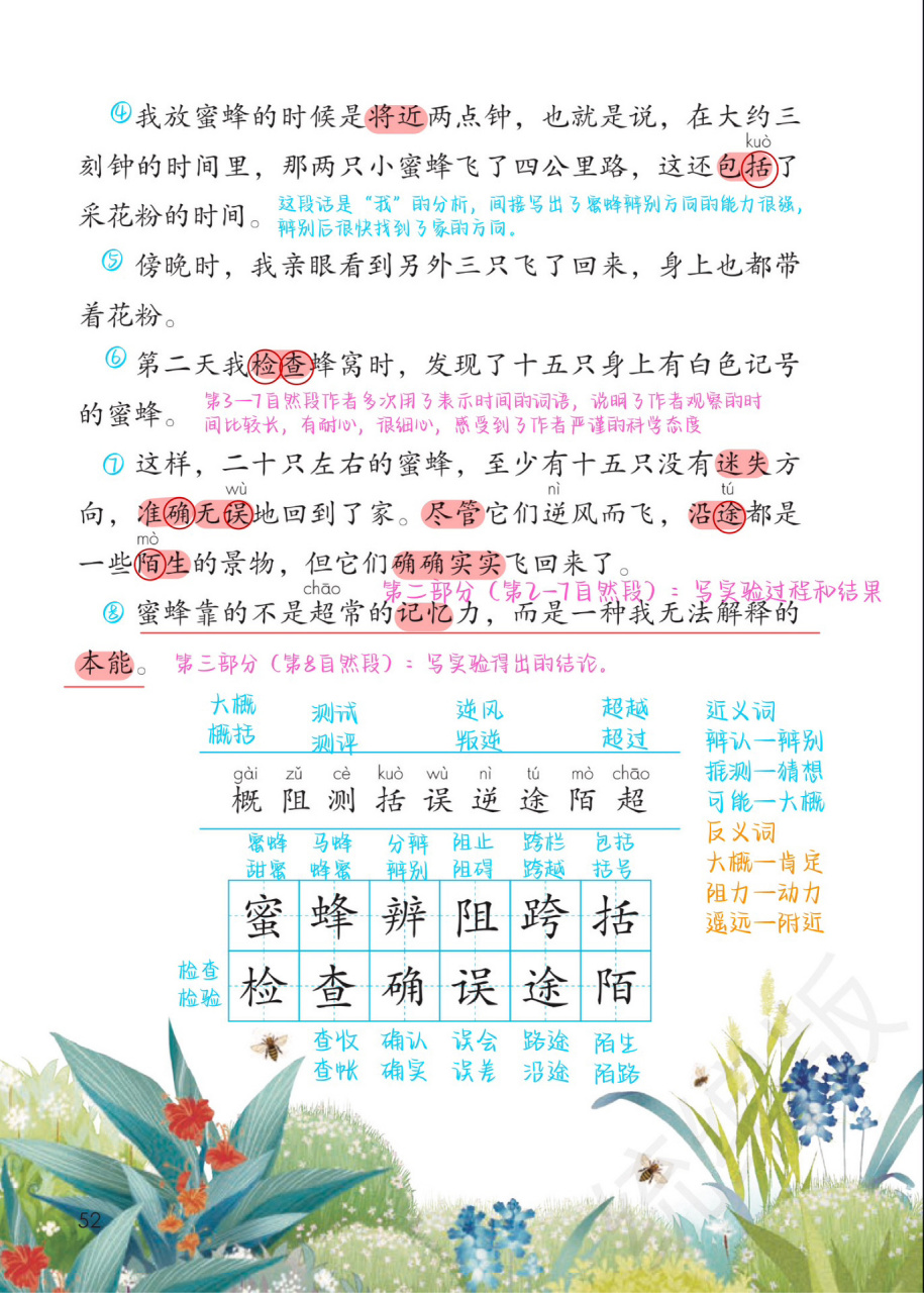 三下第14课《蜜蜂》备课笔记