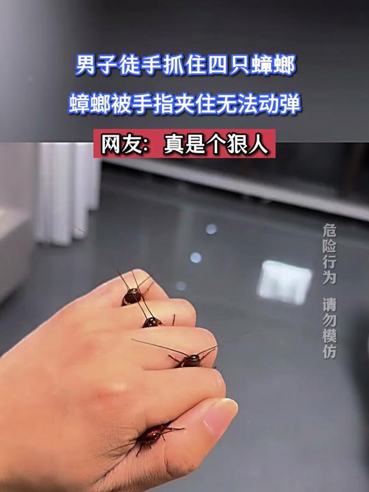 男子徒手抓住四只蟑螂,蟑螂被手指夹住无法动弹