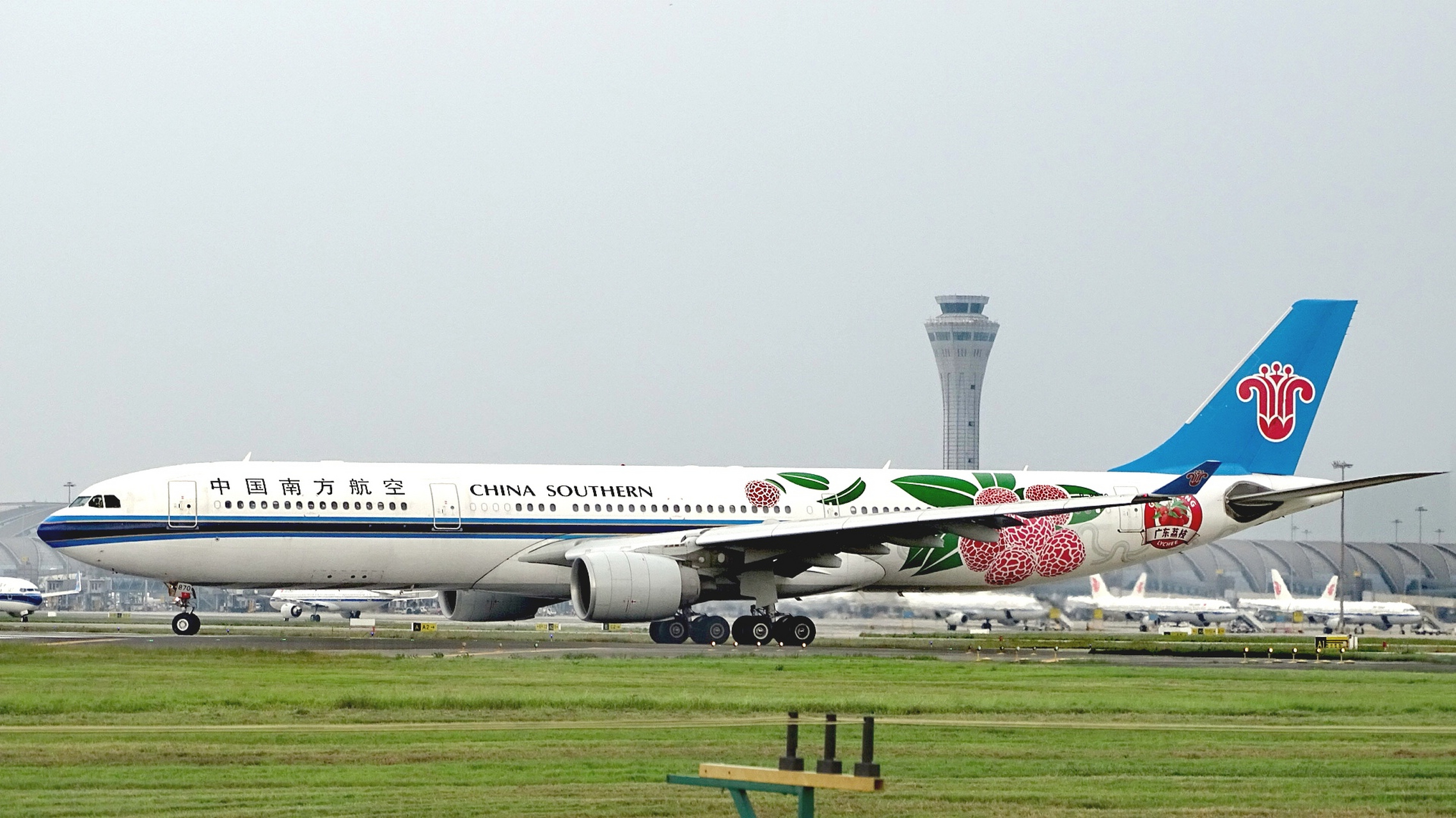 中國南方航空荔枝號a330-300