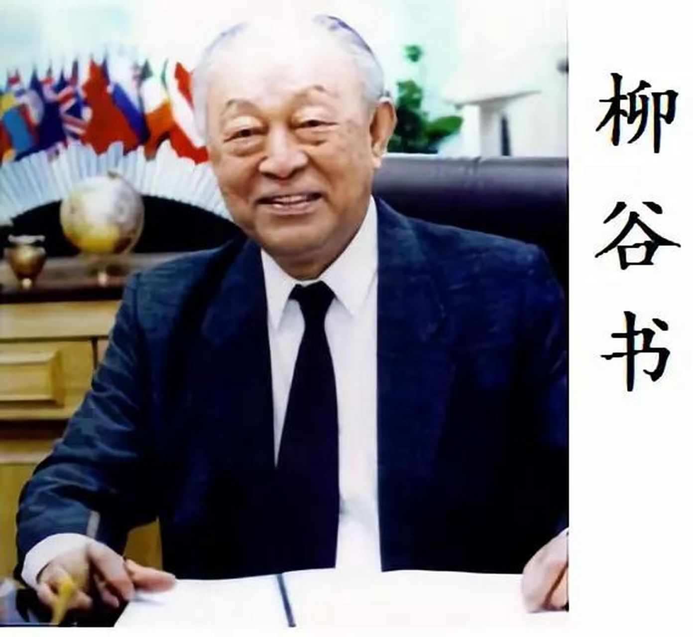 柳青就凭她是柳谷书的孙女,(中国第一批执有律师证的律师,引进维他奶